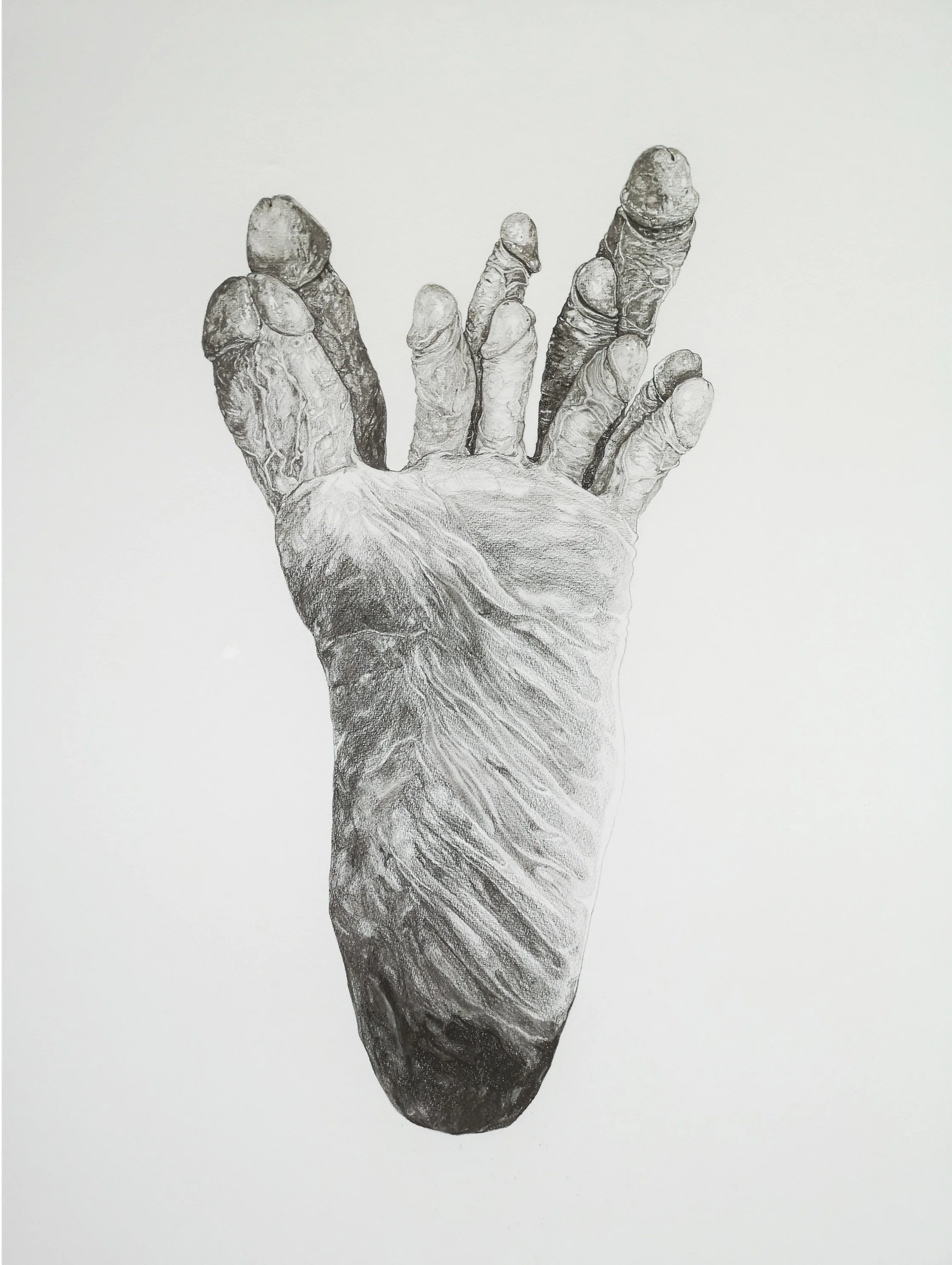 vania-gunarti_cactus_graphite-pencil-on-paper_42-x-59-4-cm_2021.jpg