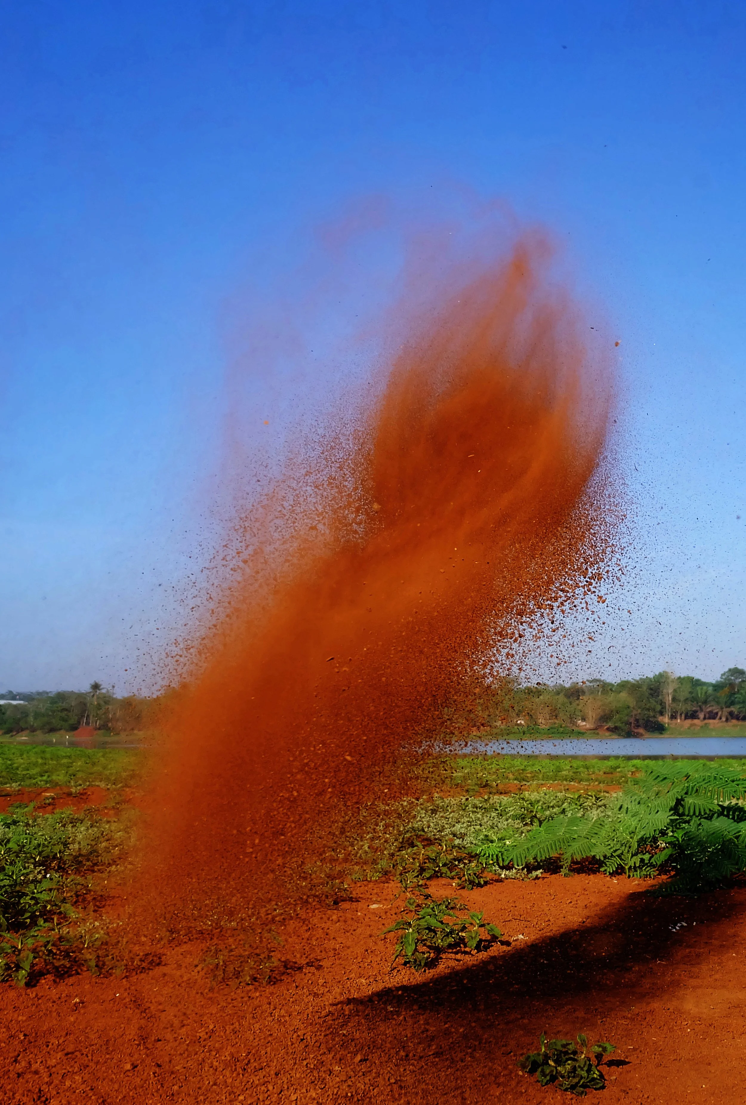  Ci Puloh 
 Soil #2 
  
 47 cm x 70cm 