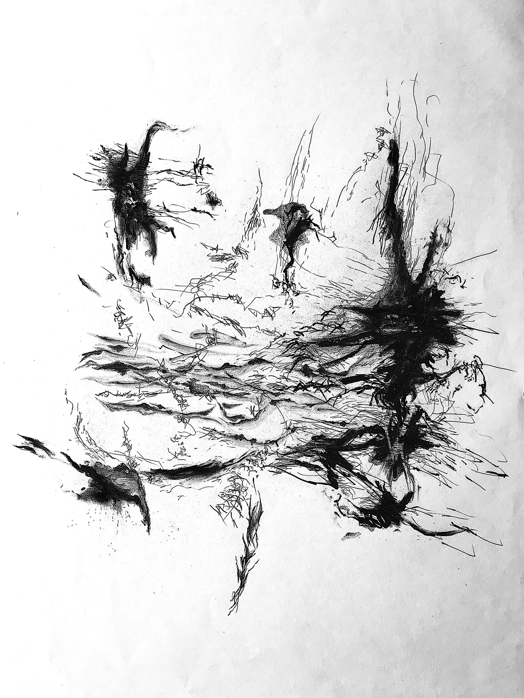  Imes Paskalia 
 Aripiprazole 
 Charcoal, graphite, and pencil on paper 
 2021 