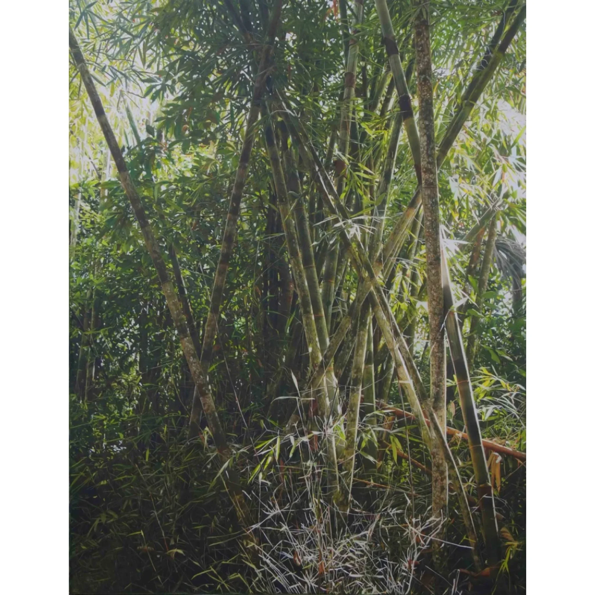  Transit #209 
 Oil on canvas 
 200cm x 150cm, 2025 