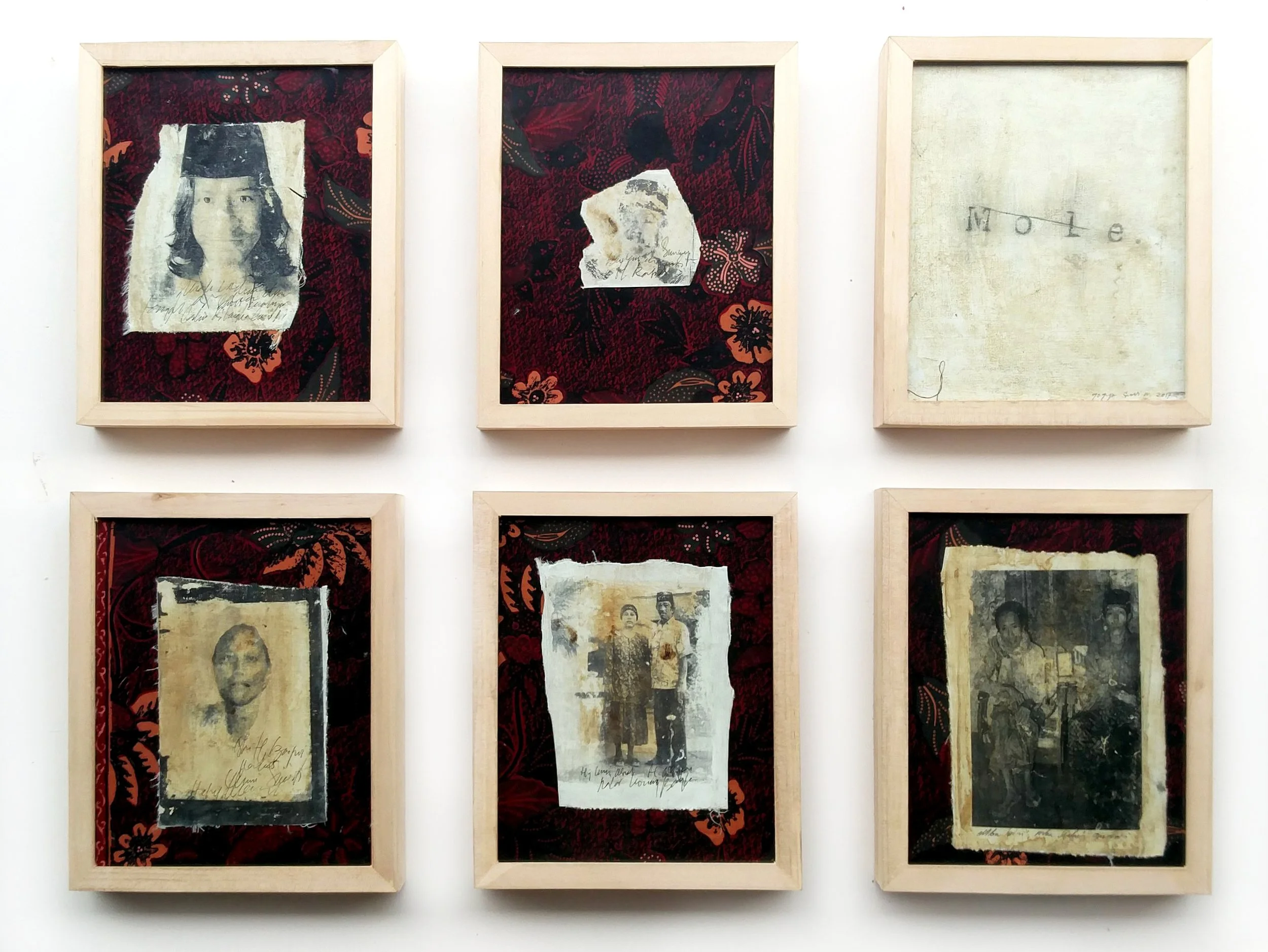  Mole 
 Monoprint on canvas, batik and wooden frame 
 23 cm x 28 cm (6 panels), 2017 