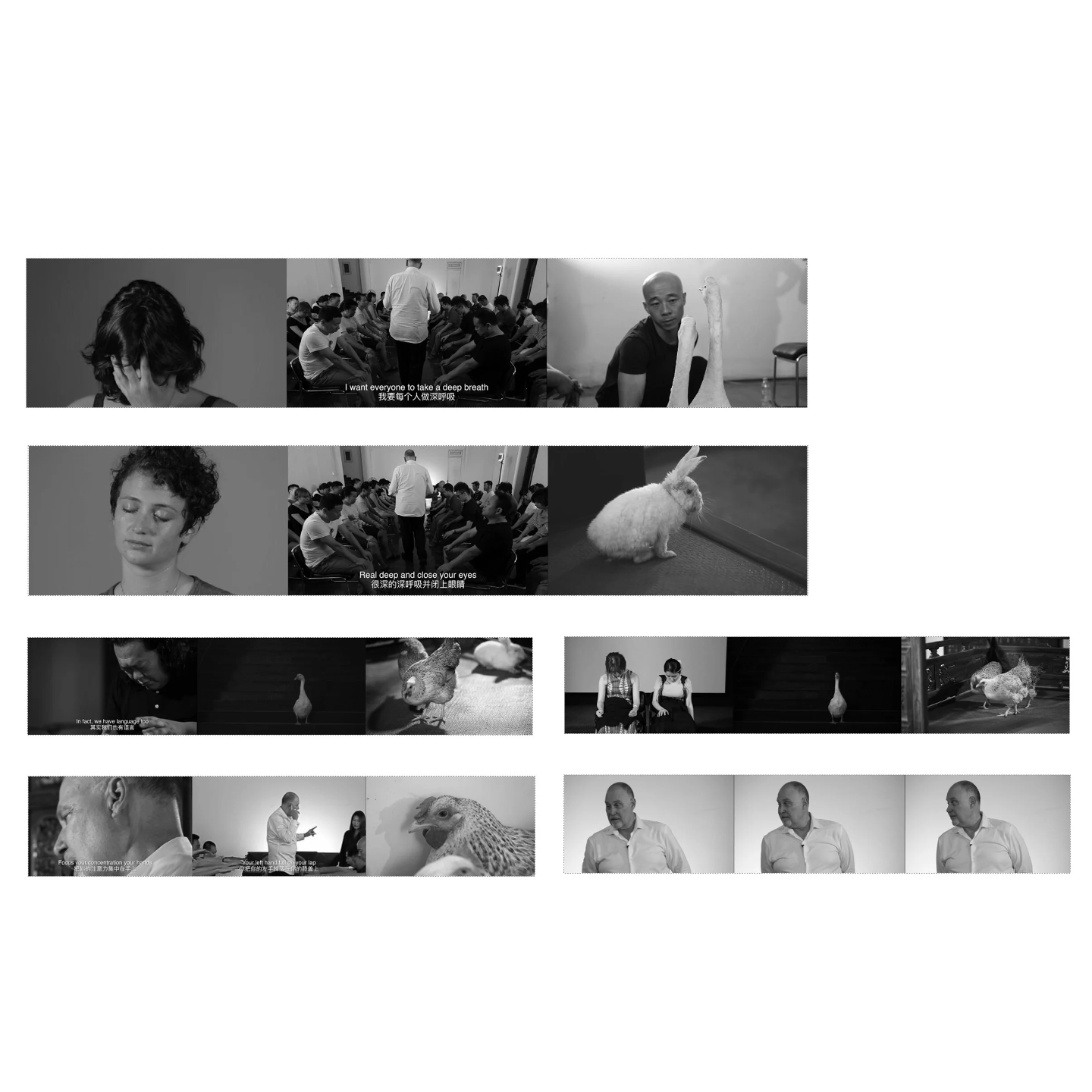  “The Hypnotized Artist” - Shen Shaomin & Lisa Roet
 
 Video, 6 minutes 54 seconds.
 
 2012 