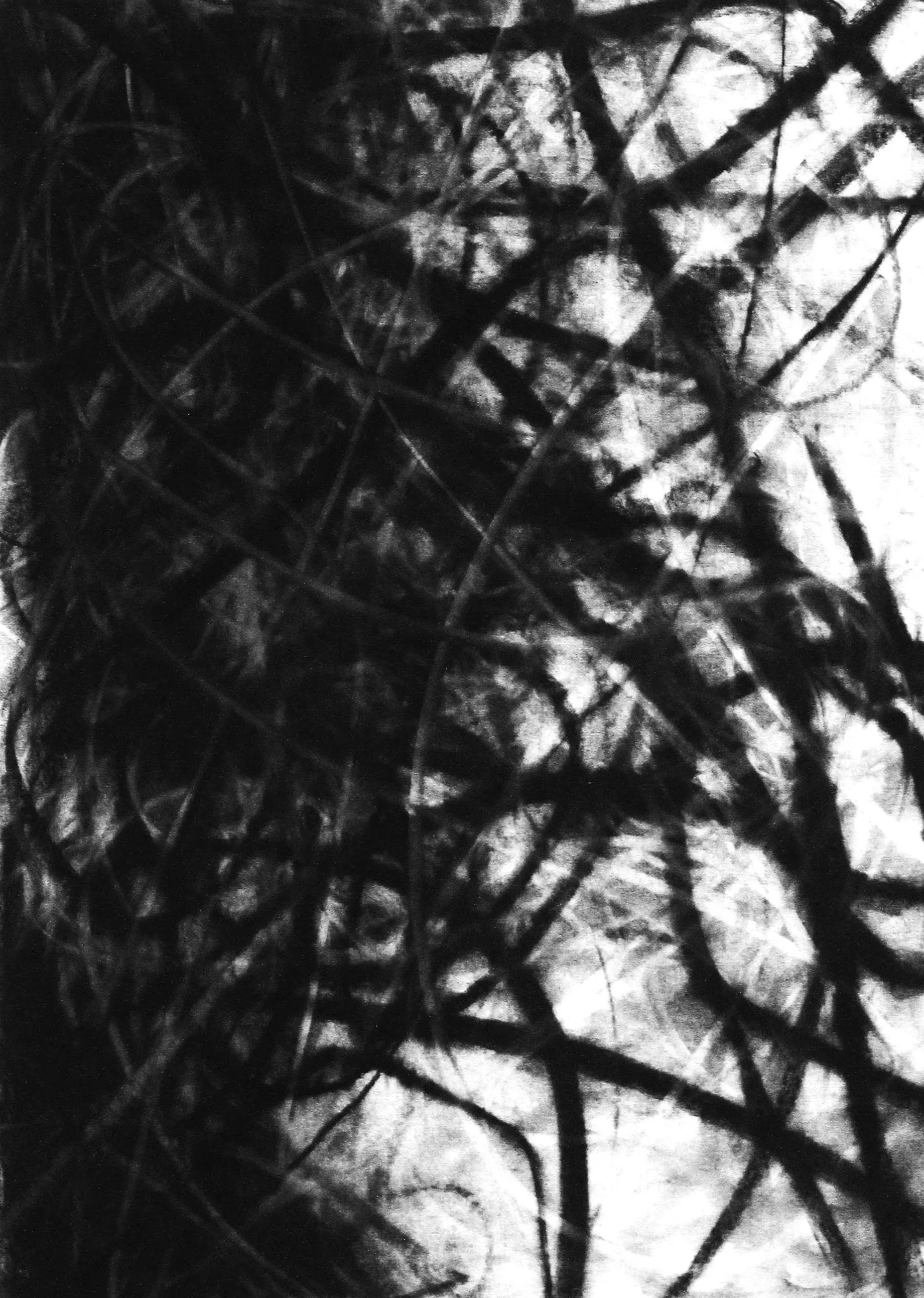 Black and white abstract image with tangled lines and overlapping shapes, creating a chaotic texture.