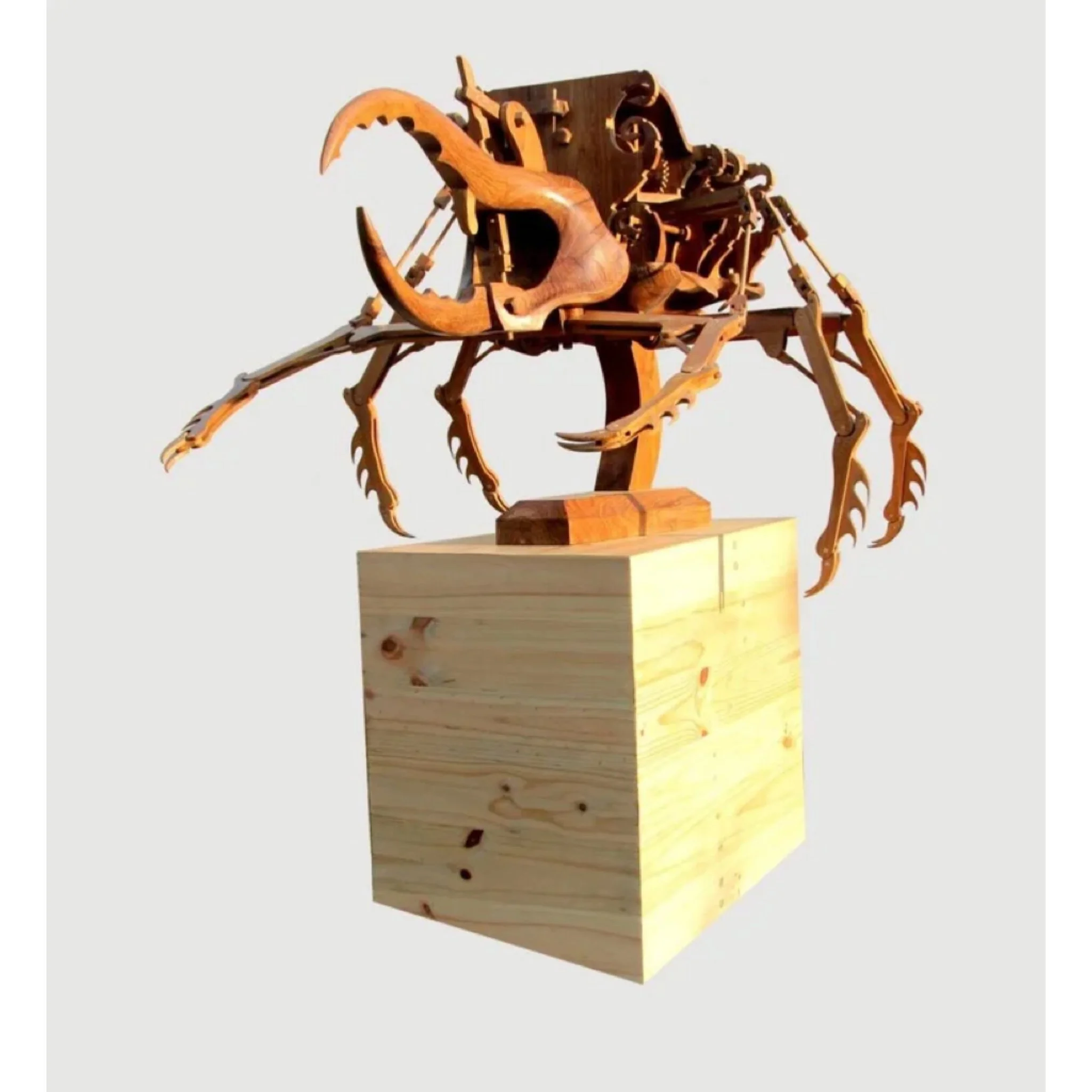  Dedy Shofianto 
 Evolution 
 Jati wood, pine wood, electric dynamo and ultrasound system 
 120 cm x 100 cm x 144 cm, 2015 