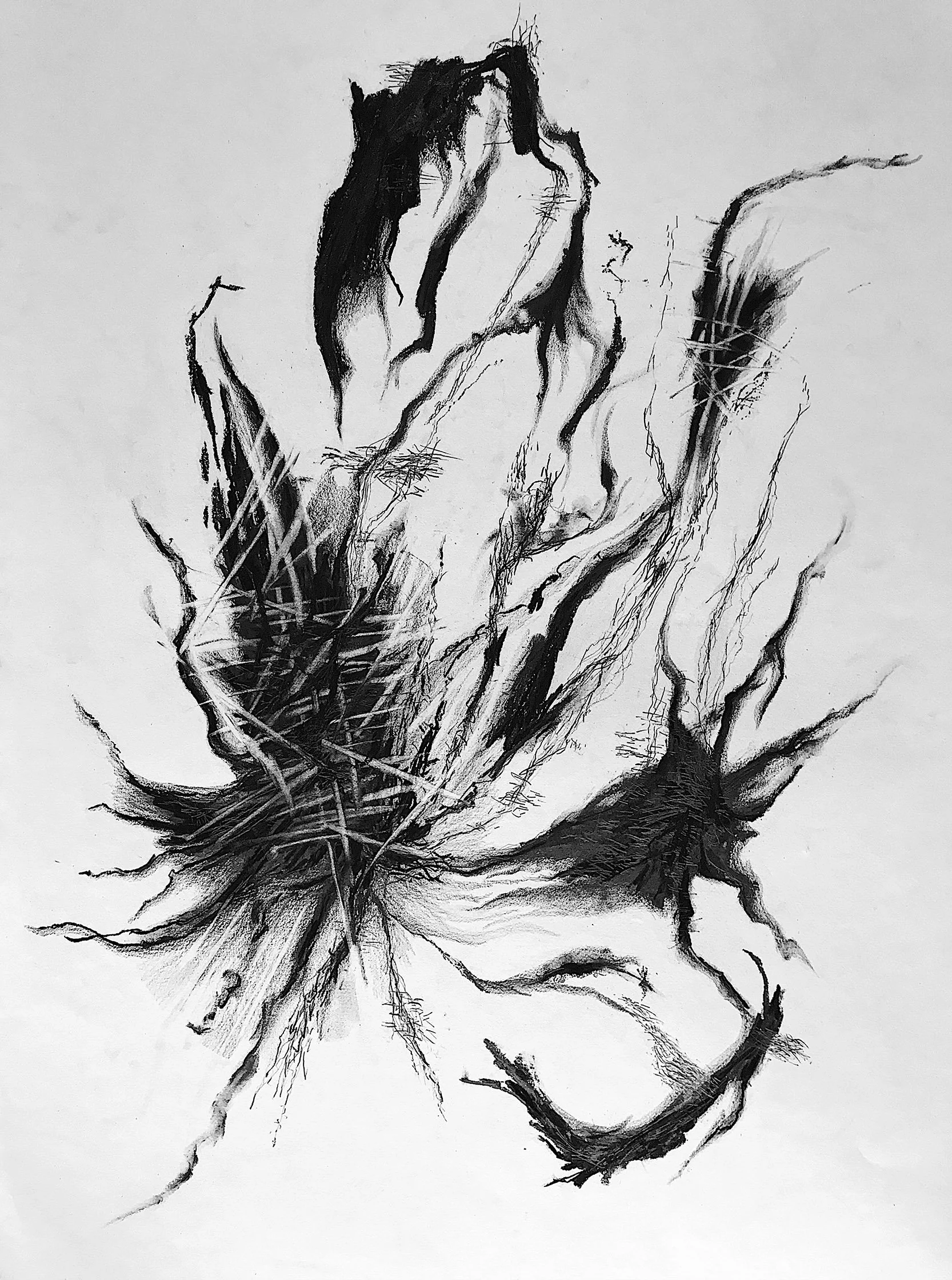  Escitalopram 
 Charcoal, graphite, and pencil on paper 
 59,4 cm x 84,1 cm, 2021 