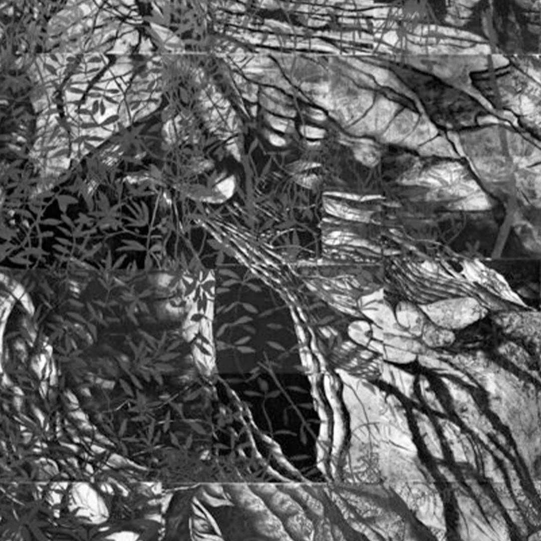 jacqui-driver_where-weeds-grow_null_NULL.jpg