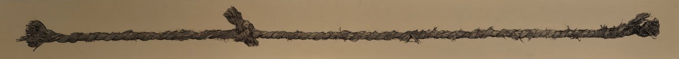  There's Still a Lot of Straw, All Entangled with Each Other 
 Woodblock print (Edition of 99) 
 2025 