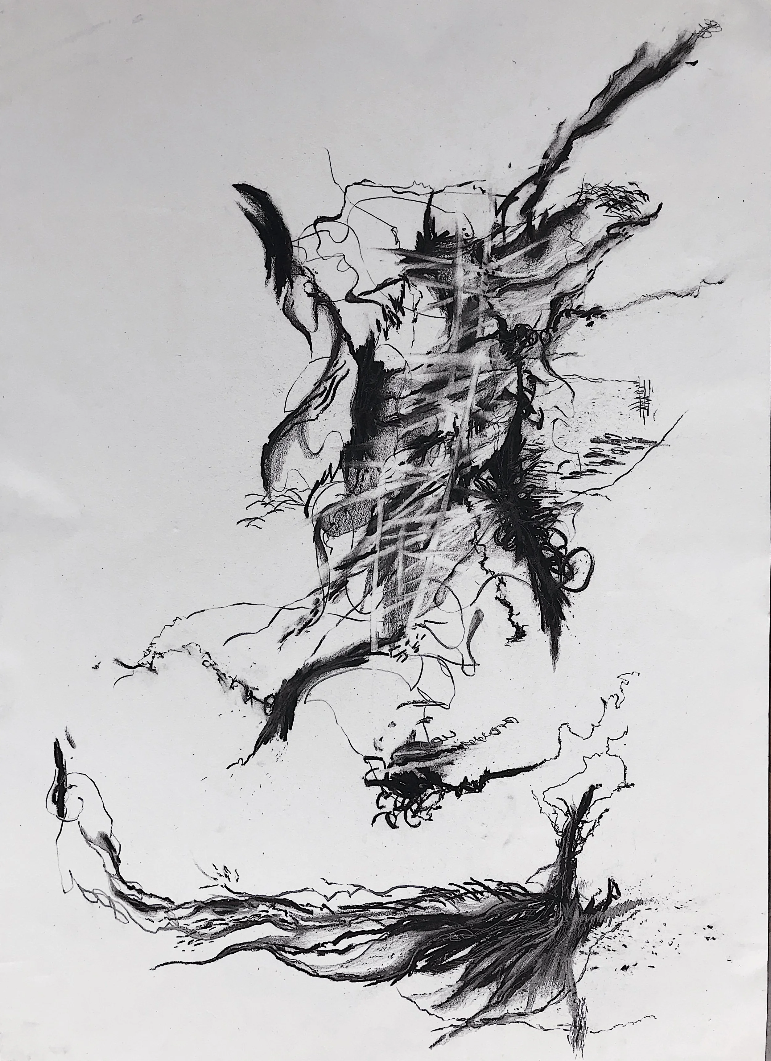  Fetus 
 Charcoal and pencil on paper 
 59,4 cm x 84,1 cm, 2021 