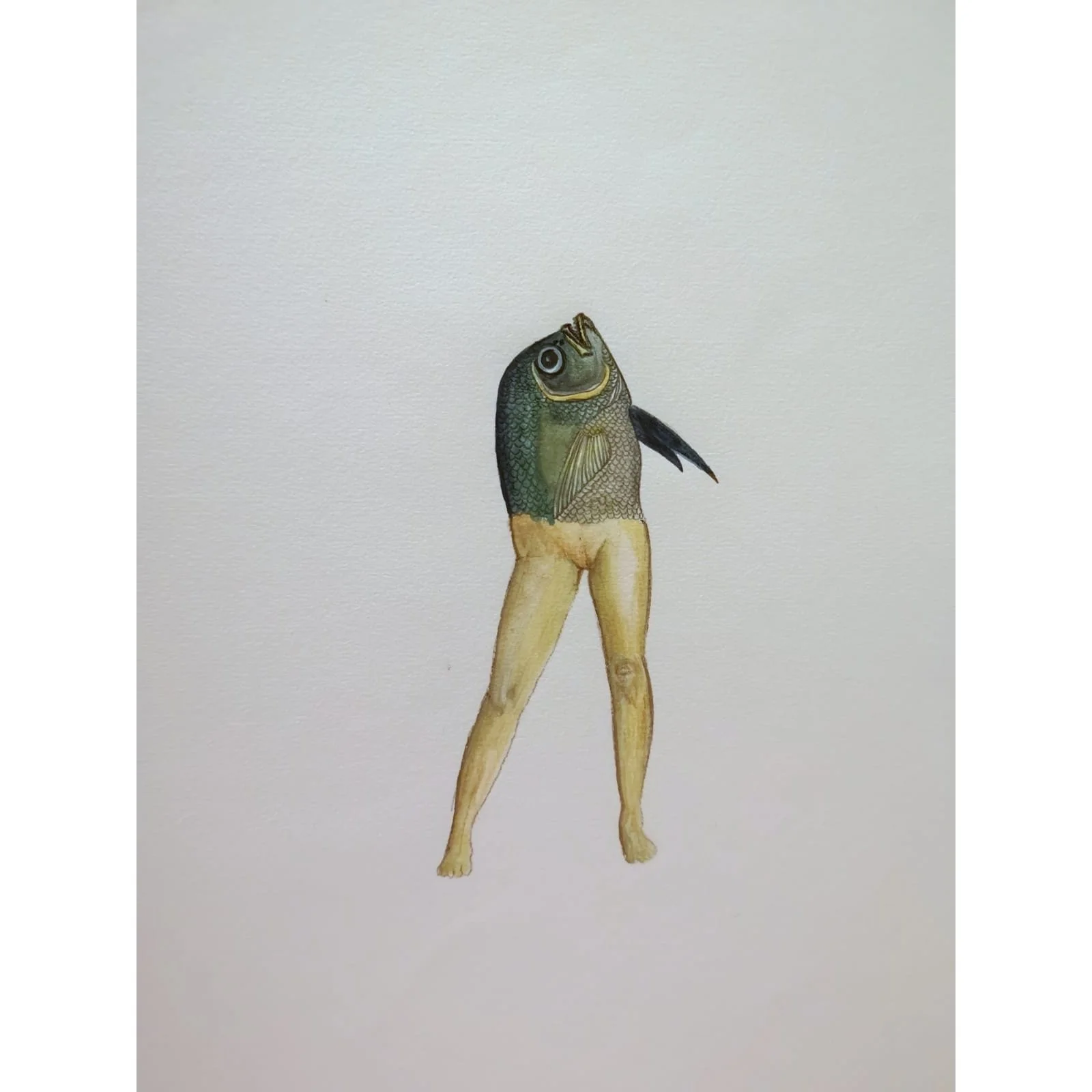  Celibate Fish and Fast-Growing Mushrooms #10 
 Watercolour and coloured pencil on paper 
 35 x 43 cm, 2022 