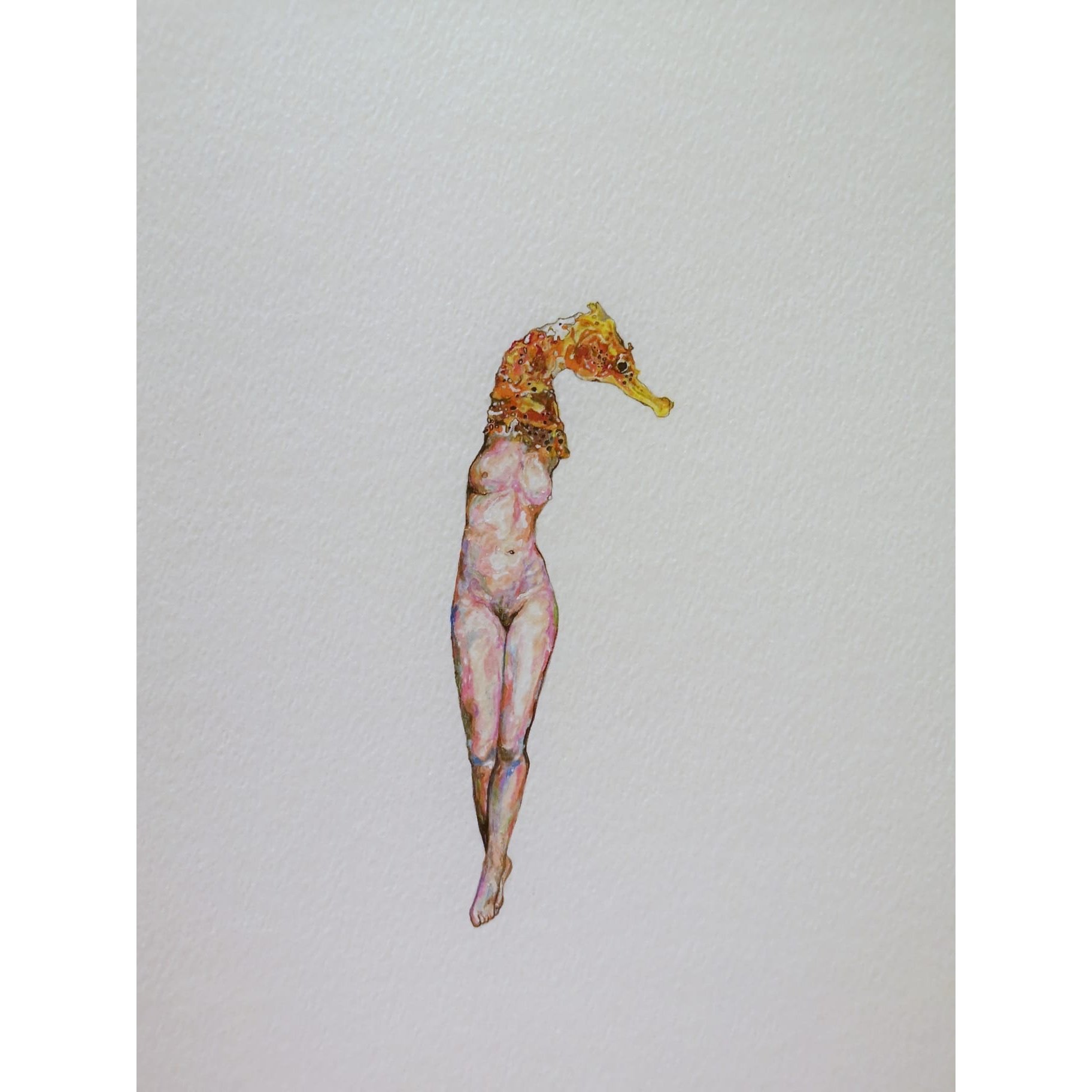  Celibate Fish and Fast-Growing Mushrooms #17 
 Watercolour and coloured pencil on paper 
 35 x 43 cm, 2022 