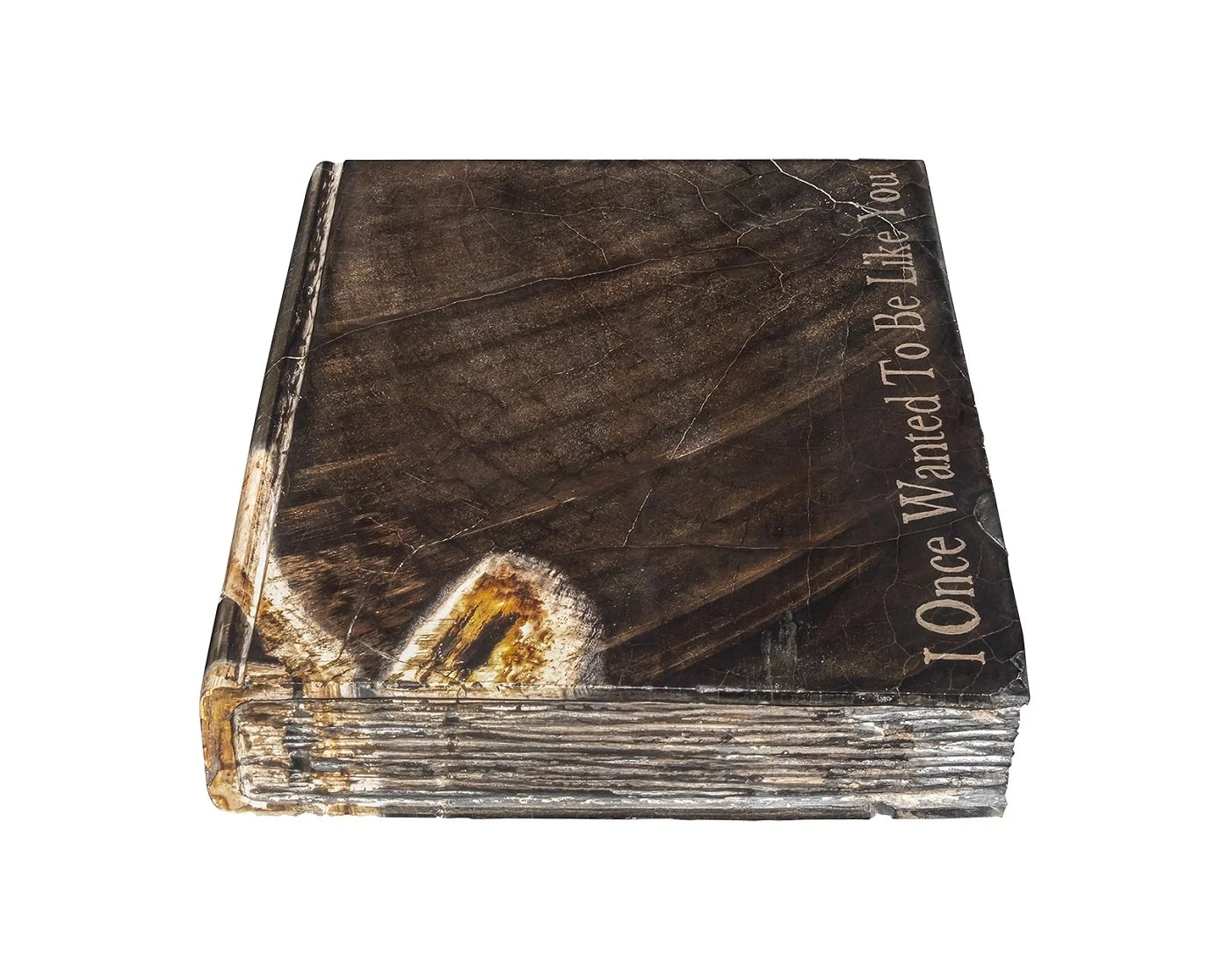 A square book with a dark, marbled cover that has the quote, "Once Wanted To Be Like You," written along the right edge.