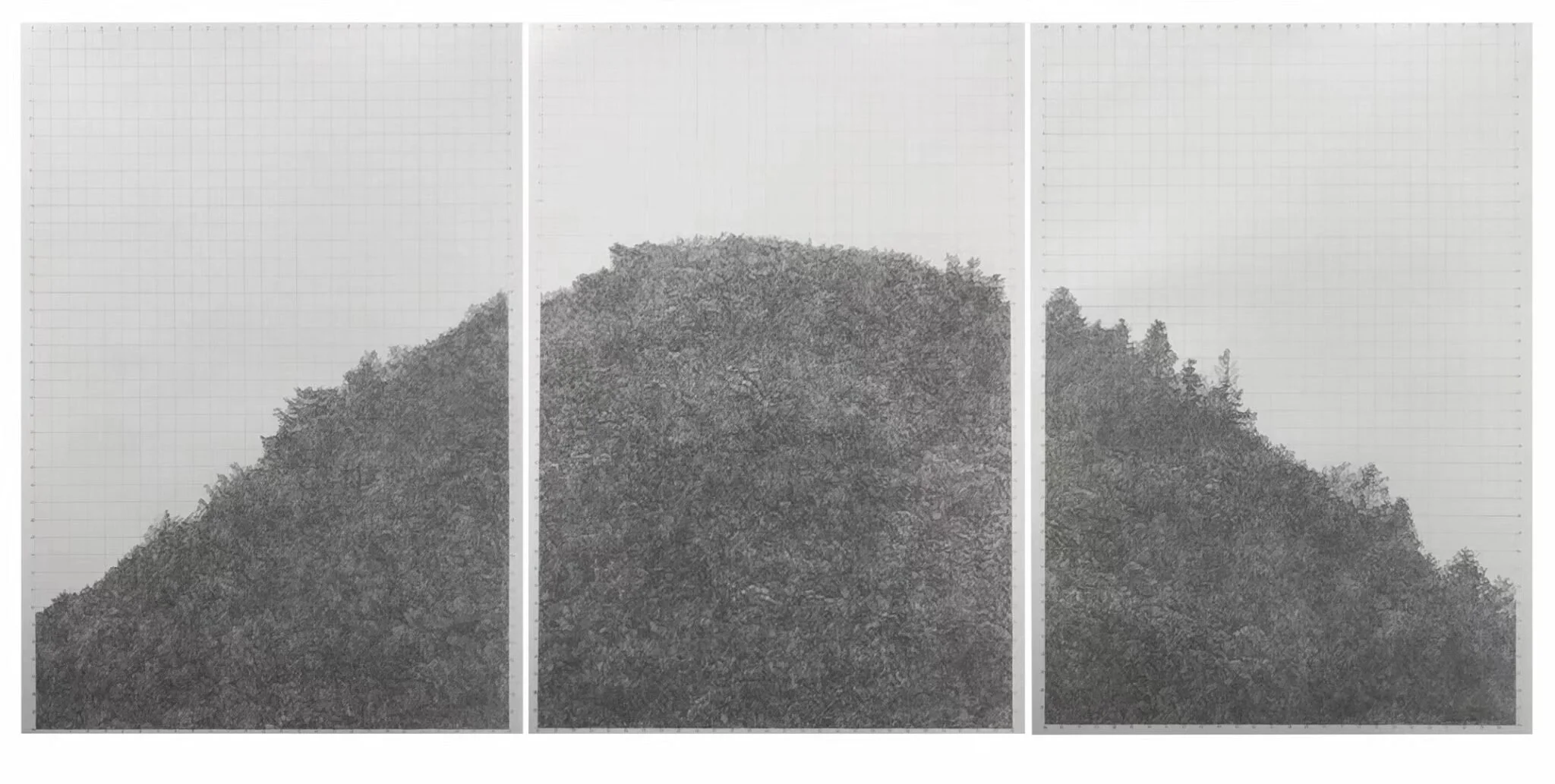 hui-xin_2019-9_charcoal-on-paper_42-x-29-cm-x3_2019.jpg
