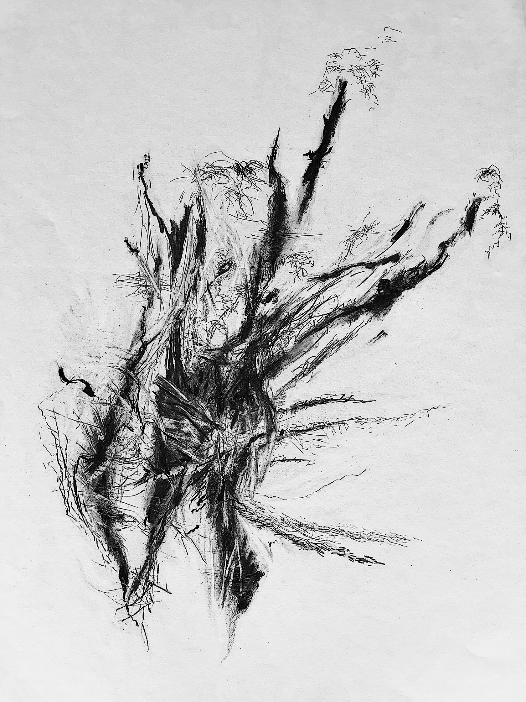  Lorazepam 
 Charcoal, graphite, and pencil on paper 
 59,4 cm x 84,1 cm, 2021 