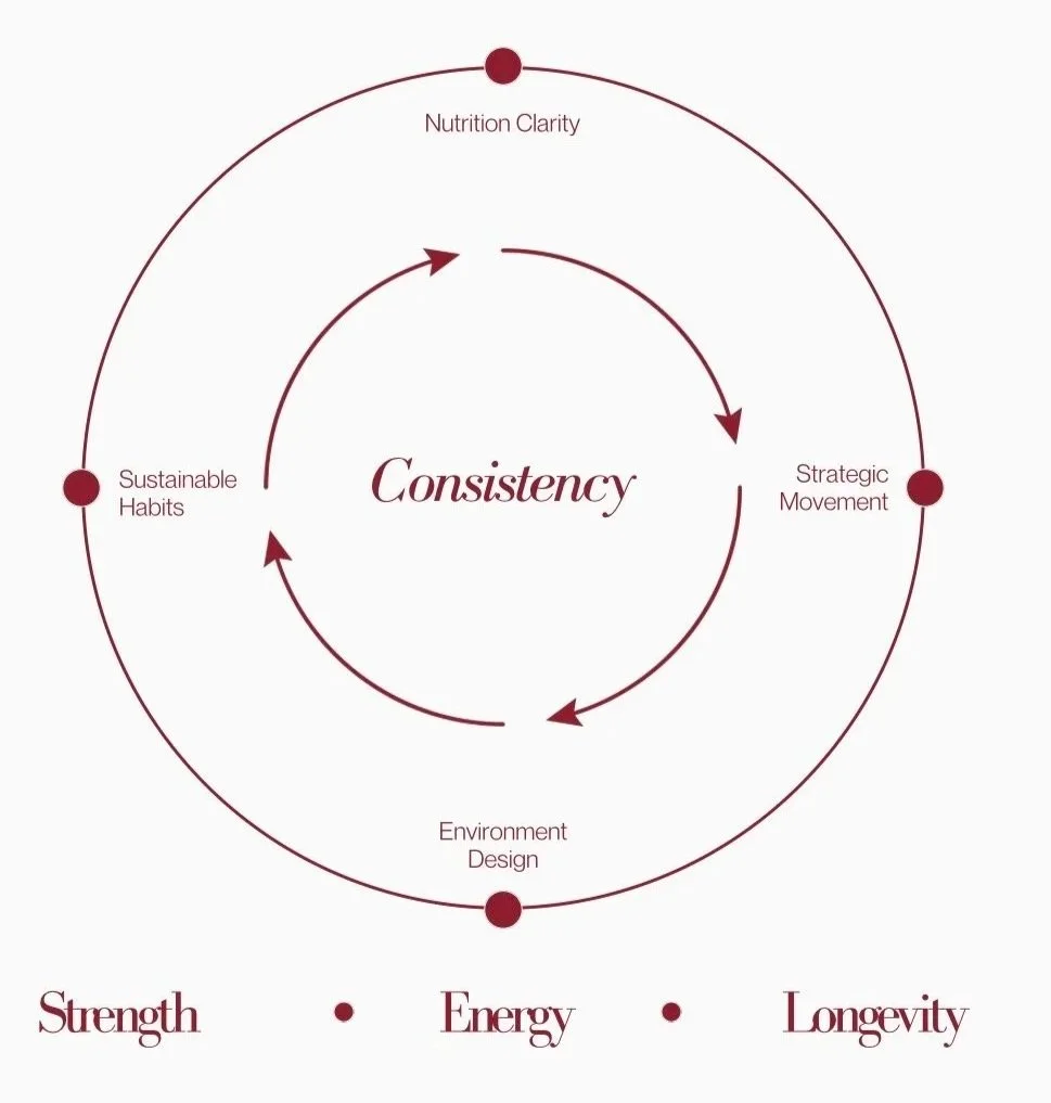 A circular diagram illustrating the cycle of consistency in design or habits, with key stages labeled as Nutrition Clarity, Strategic Movement, Environment Design, and Sustainable Habits. The inner circle emphasizes the word 'Consistency,' and the outer elements highlight benefits such as Strength, Energy, and Longevity.
