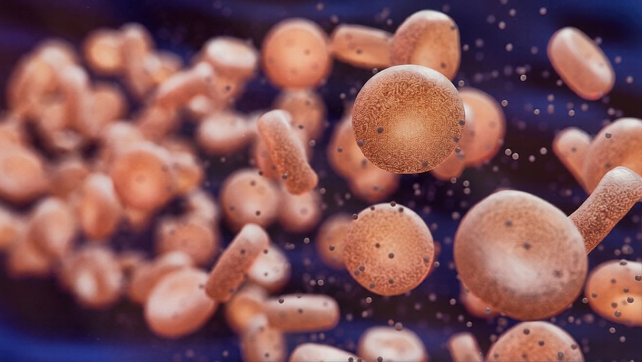 Command and Control Cells in Your Body to Heal - Tapping into Your Body’s Power