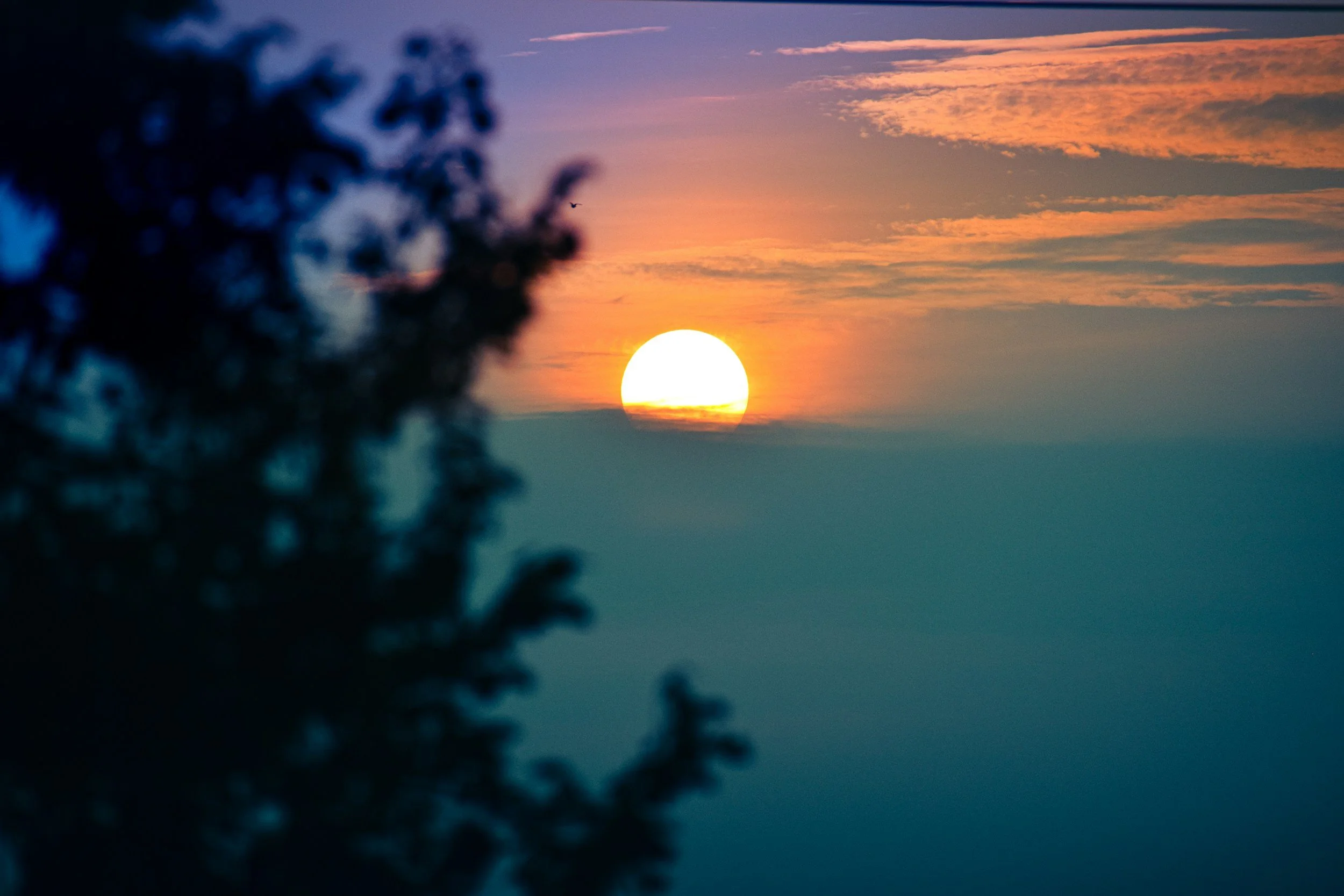 The Power of Collective Consciousness: How We Can Rewrite Humanity's Future