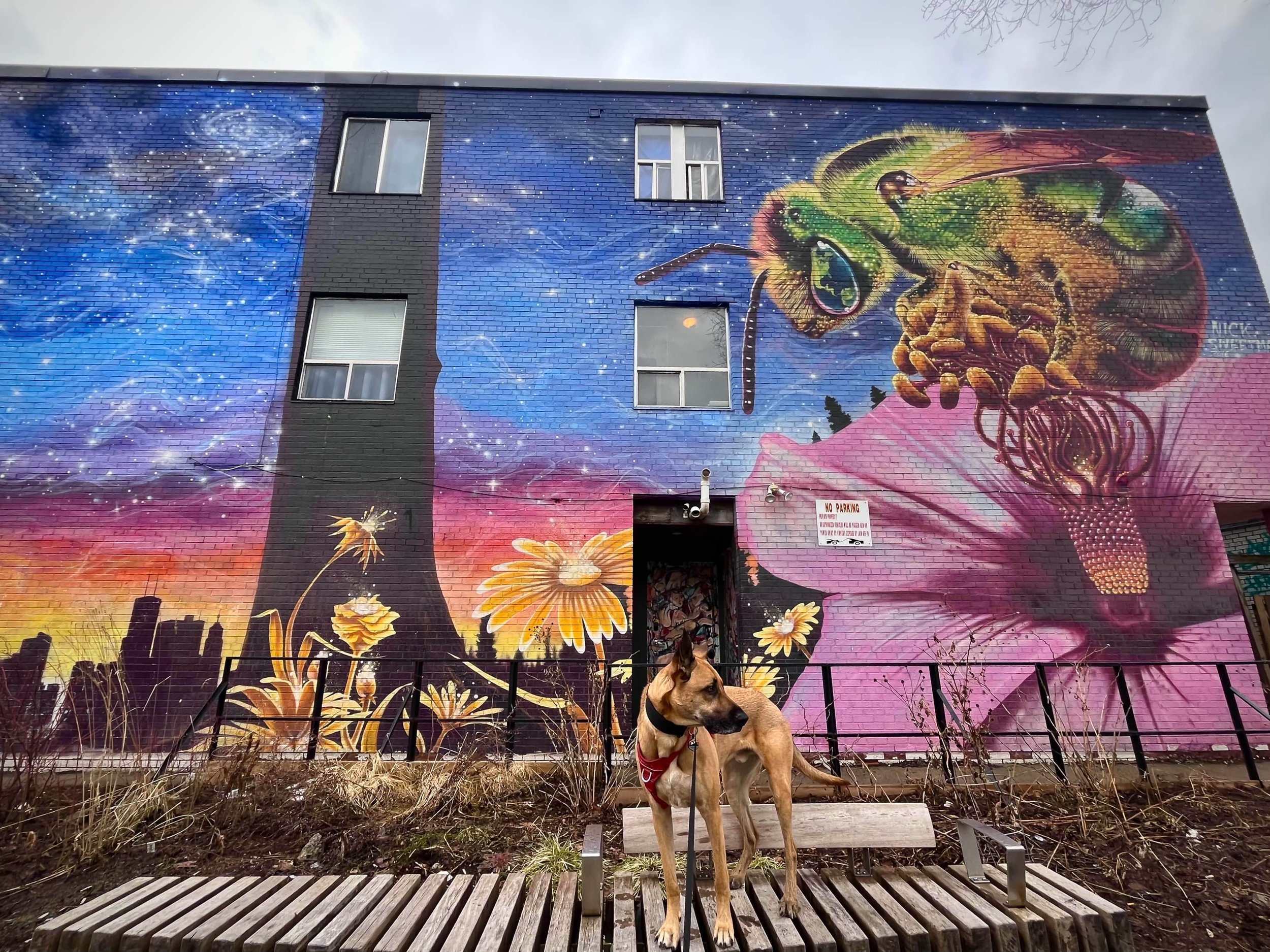 Portraits of Wilkins In Front of Street art