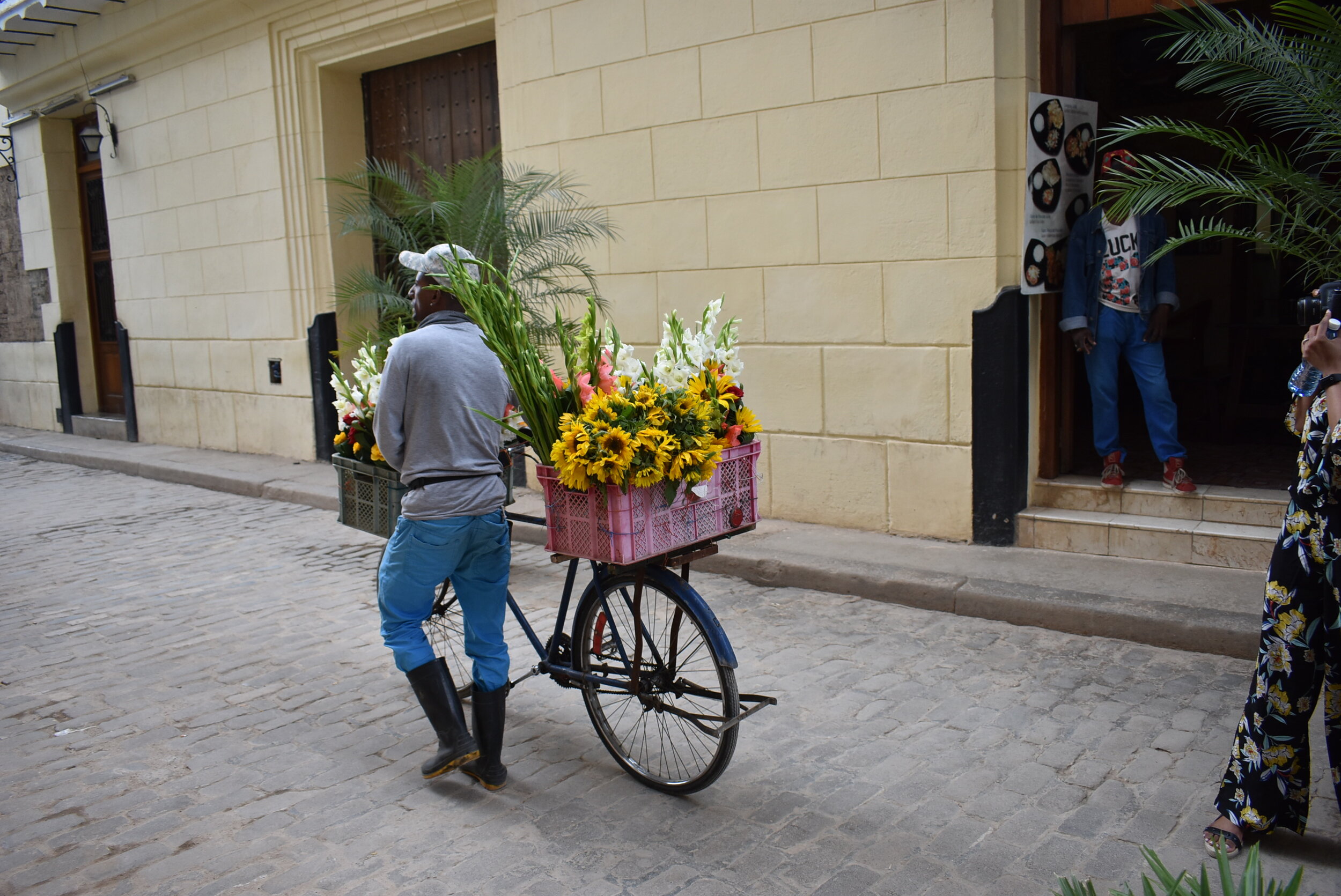 DSC_0381.JPG