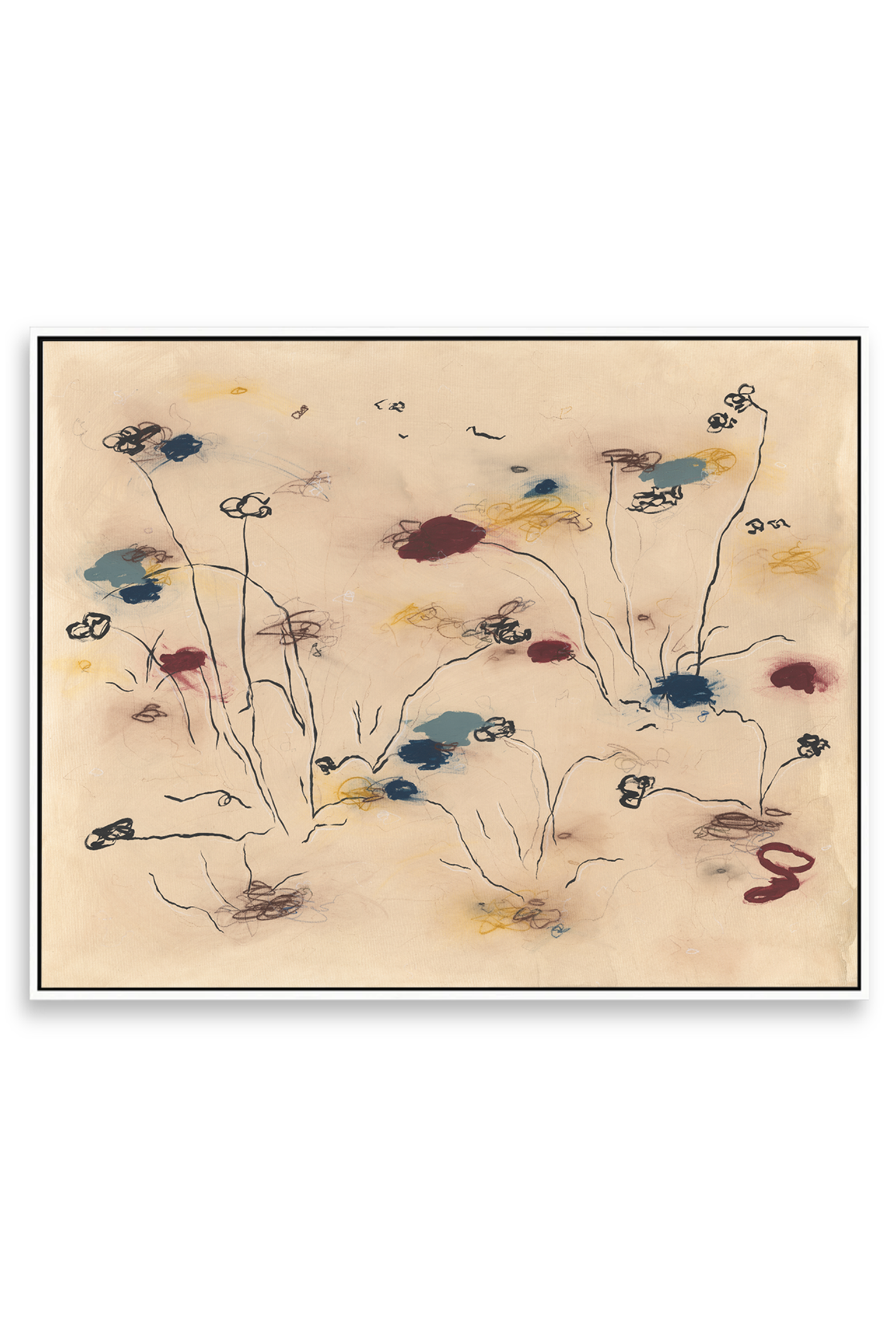 canvas white frame.png