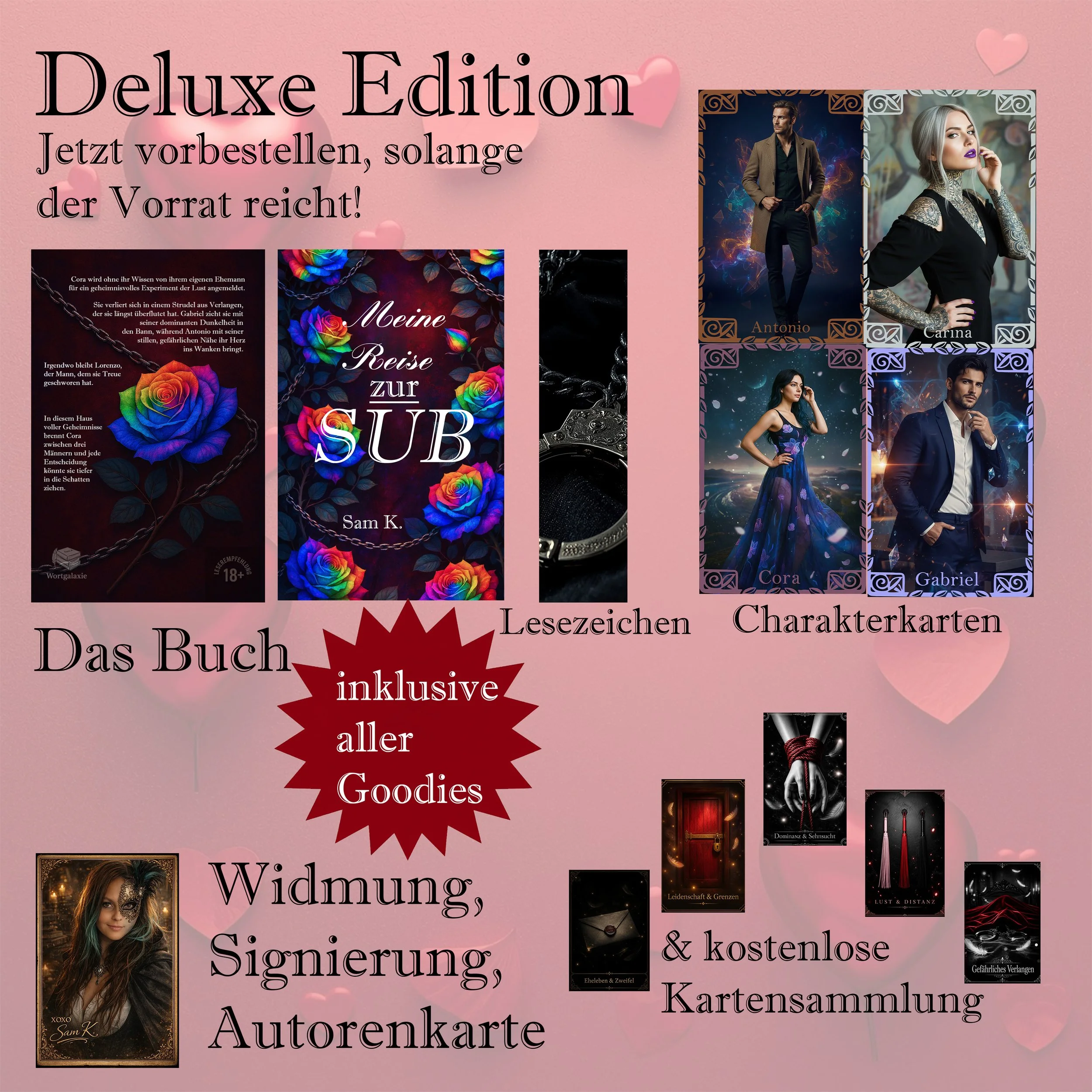 Vorbestellung - Limitierte Deluxe Edition - Meine Reise zur SUB