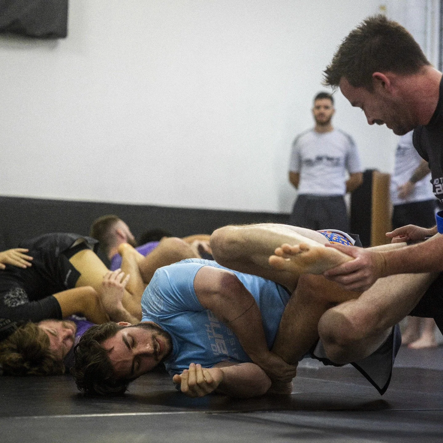 New technique rotation starting this week 🔄

If you've been thinking about joining - this week is a perfect time to start!

We also offer a free trial ➡️ check out the link in our bio for more info or send us a message 📨