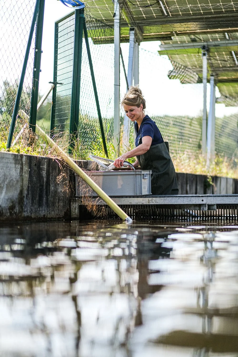teichwirtschaft-forelle-fischerin