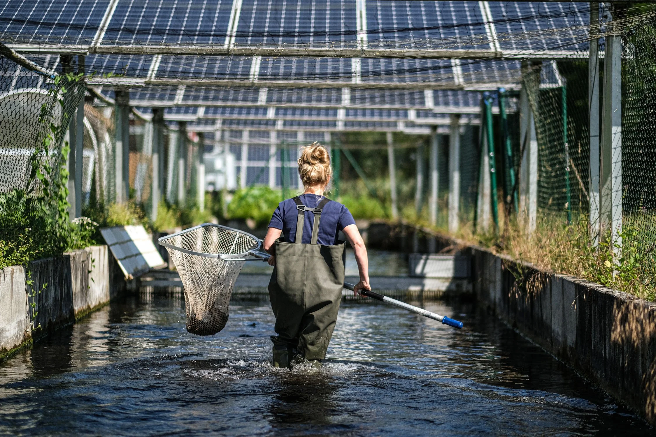 fischerin-kescher-fischweiher