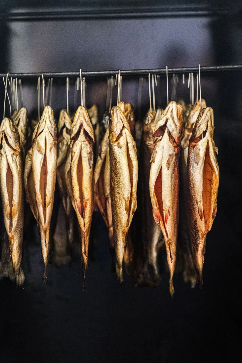 hofladen-raeucherofen-forelle-fisch