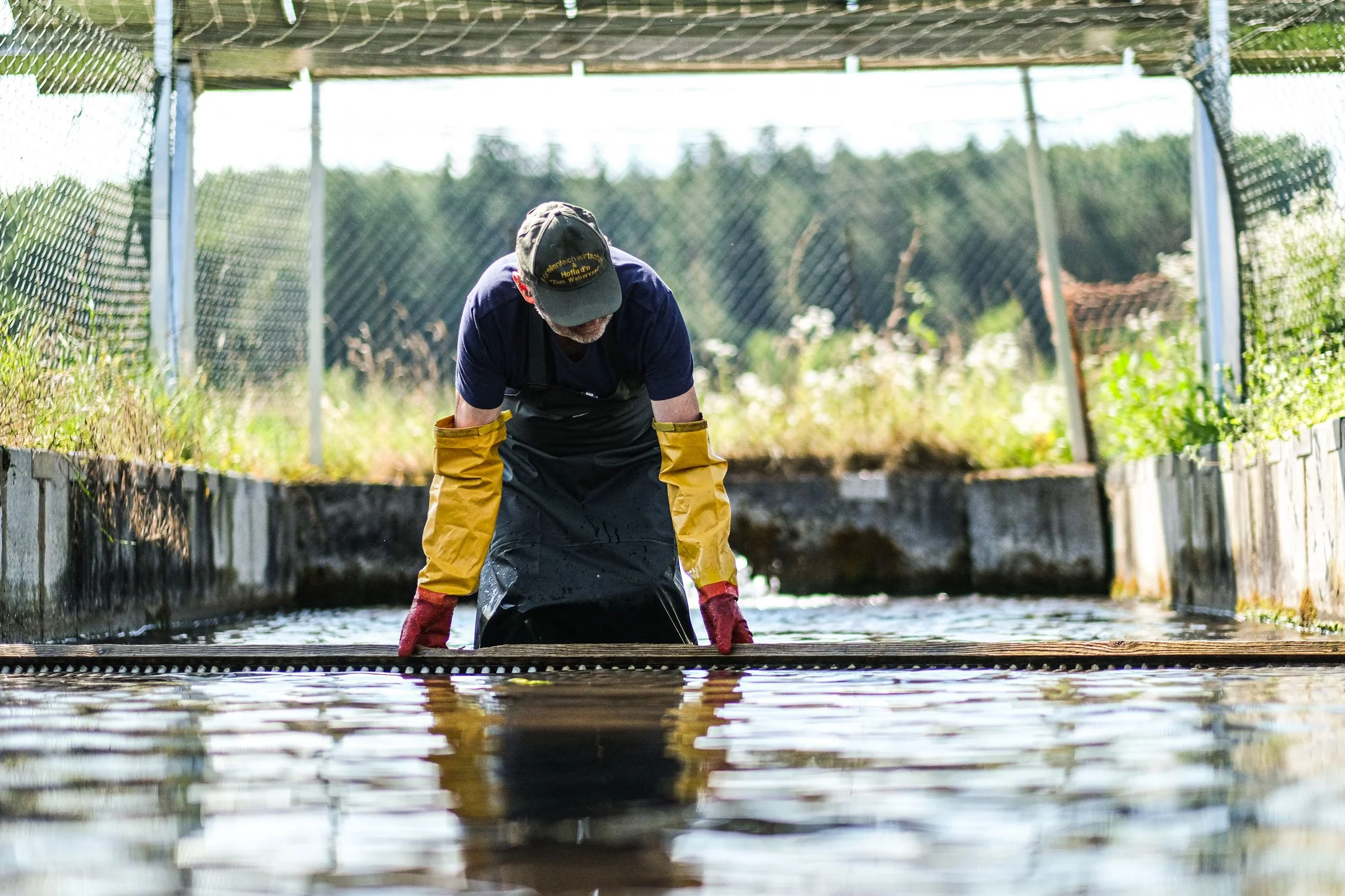 teichwirtschaft-fischweiher-fischer
