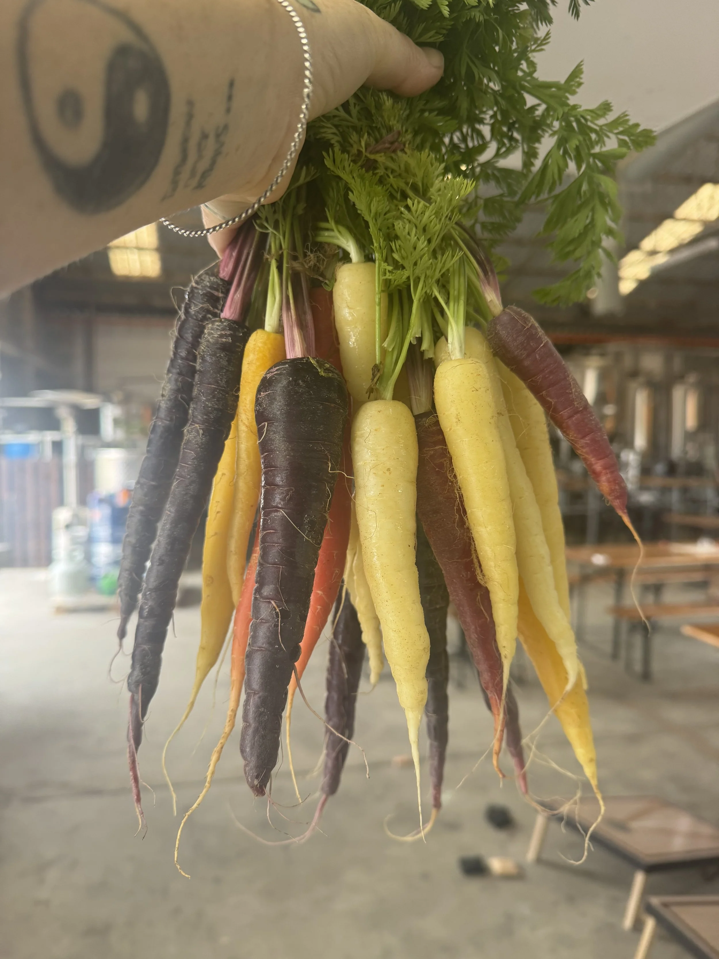 Rainbow carrots from local suppliers