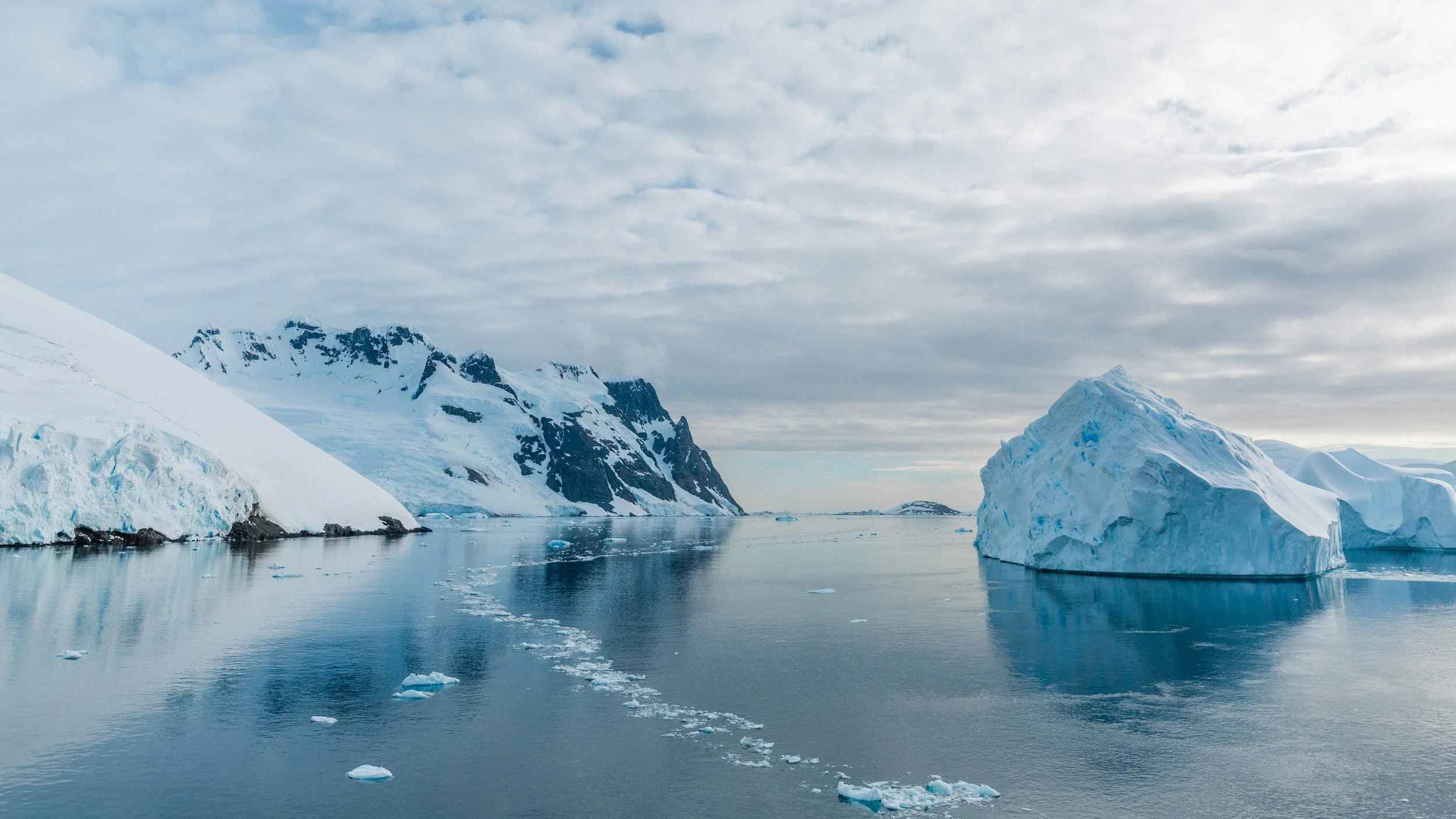 Where Can You Go on an Expedition Cruise?