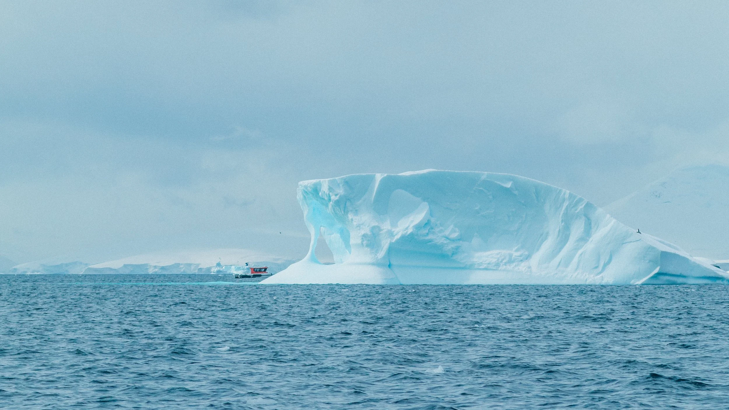 Life Onboard an Expedition Ship 