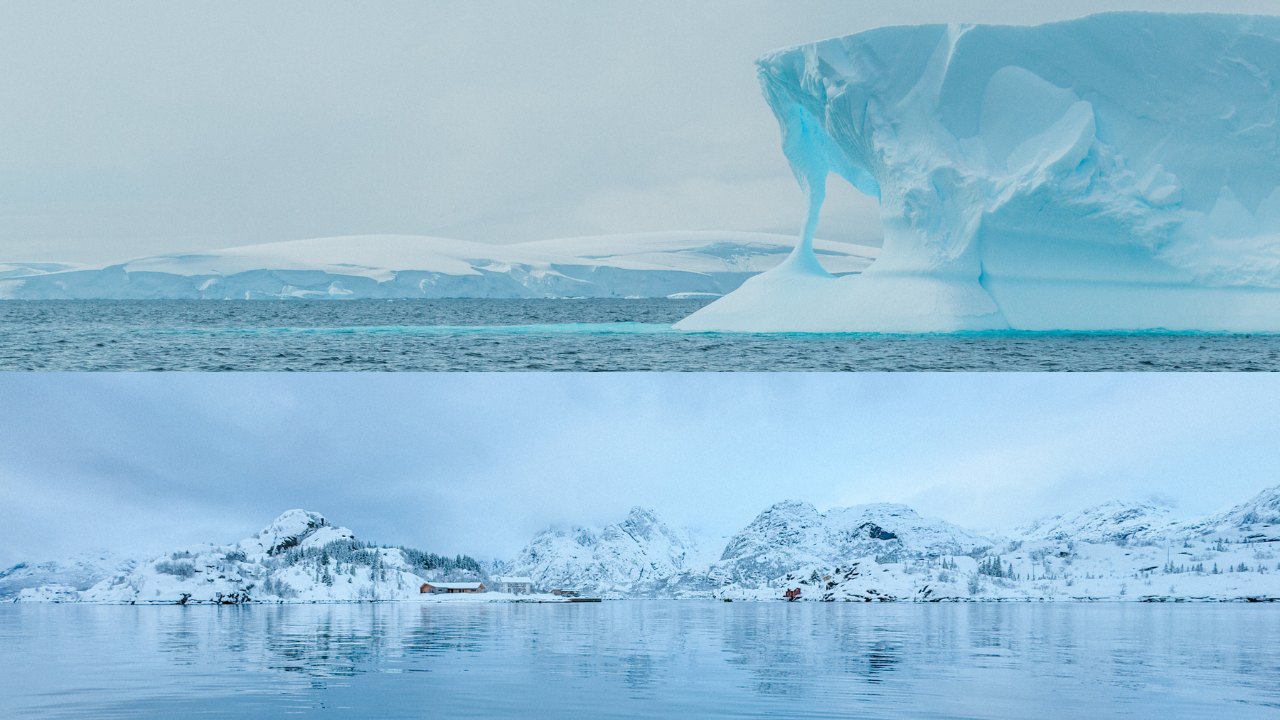 Antarctica vs Arctic | Which Polar Expedition Should You Choose?