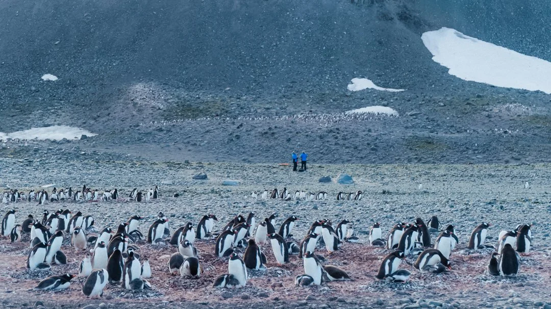 How Expedition Cruising Supports Antarctic Science | The Story of Oceanites