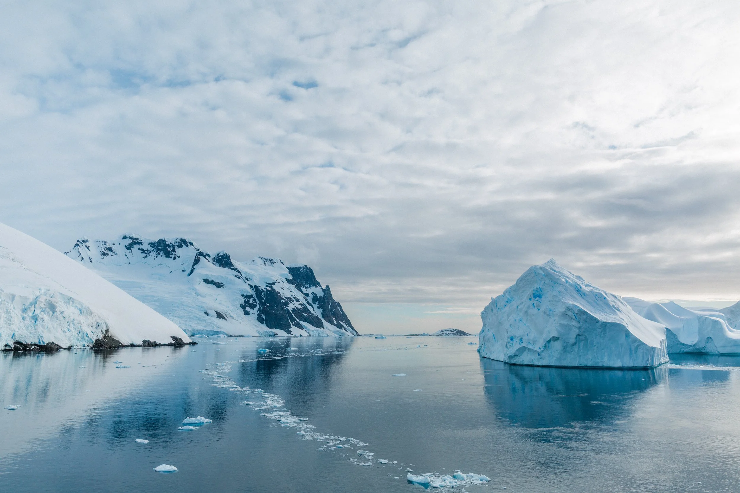 Where Can You Go On An Expedition Cruise?