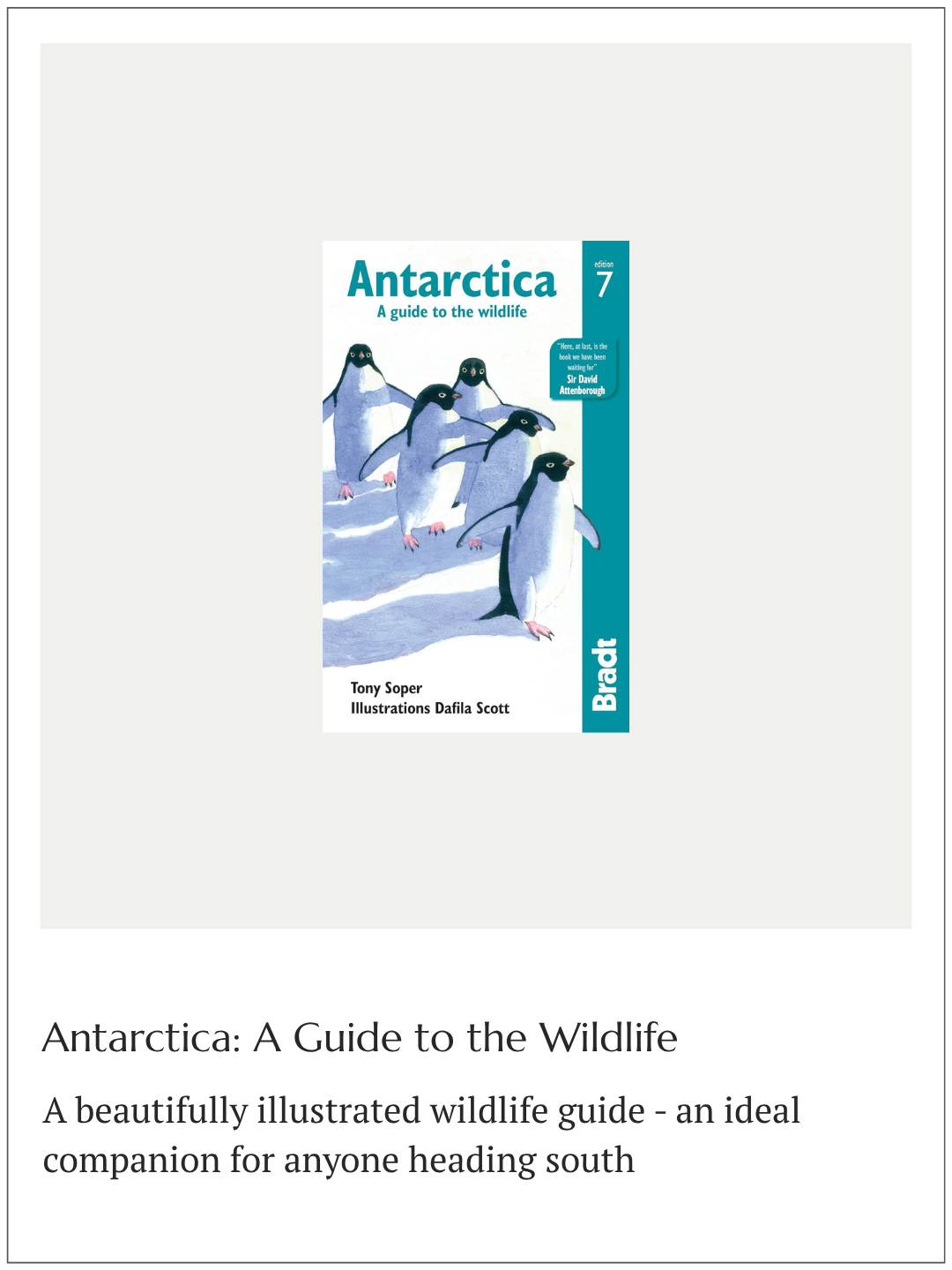 Copy of Copy of product template-6.png