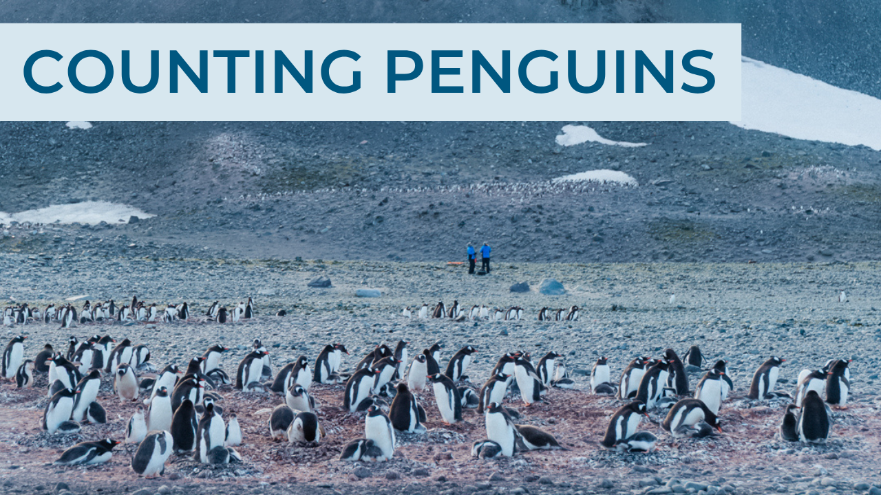 Penguin Colony in Antarctica with Two Oceanites Penguin Counters in the Background