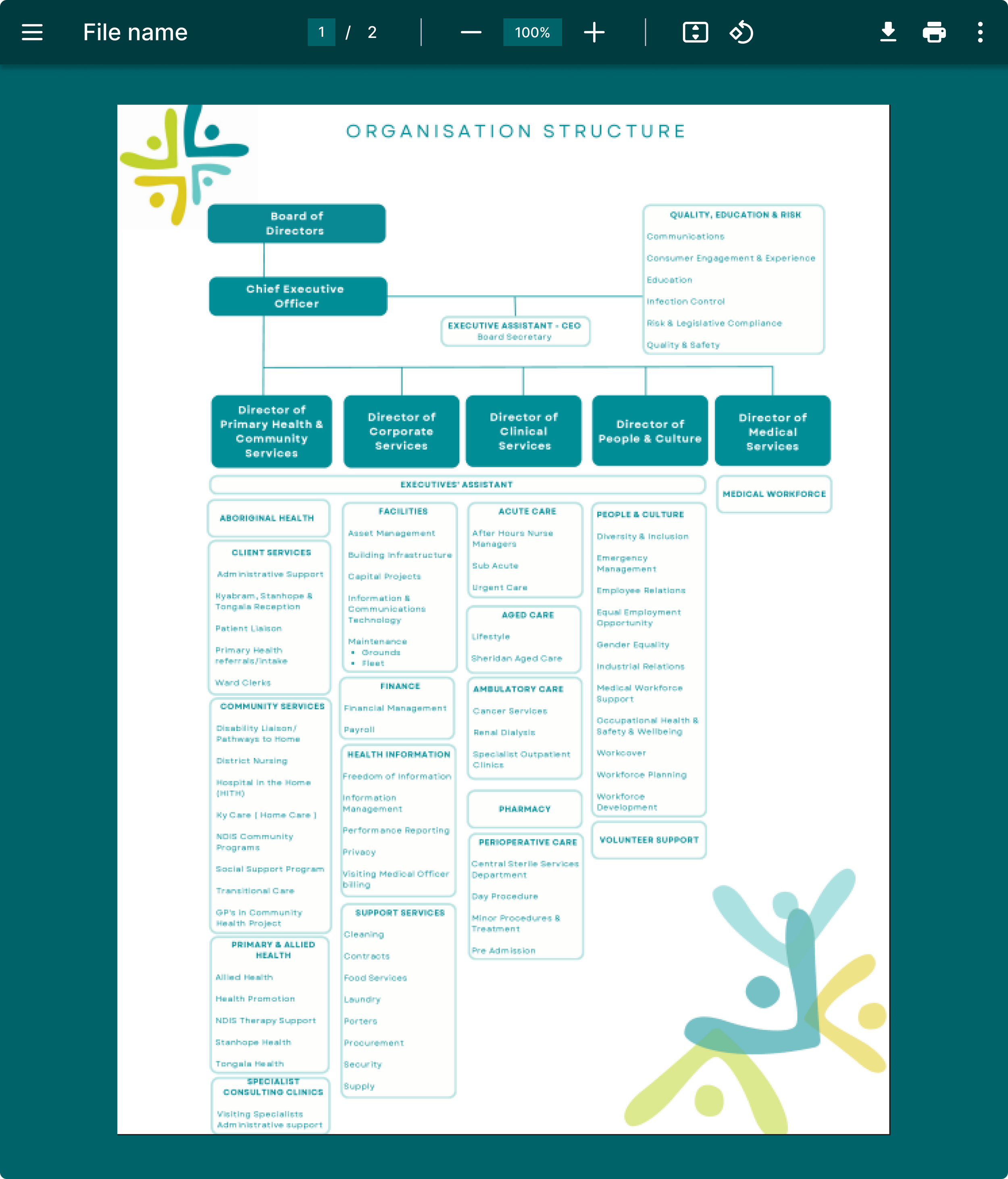 Organization structure flowchart with various health services and management roles, including Board of Directors, Chief Executive Officer, directors of health services, and other healthcare departments.