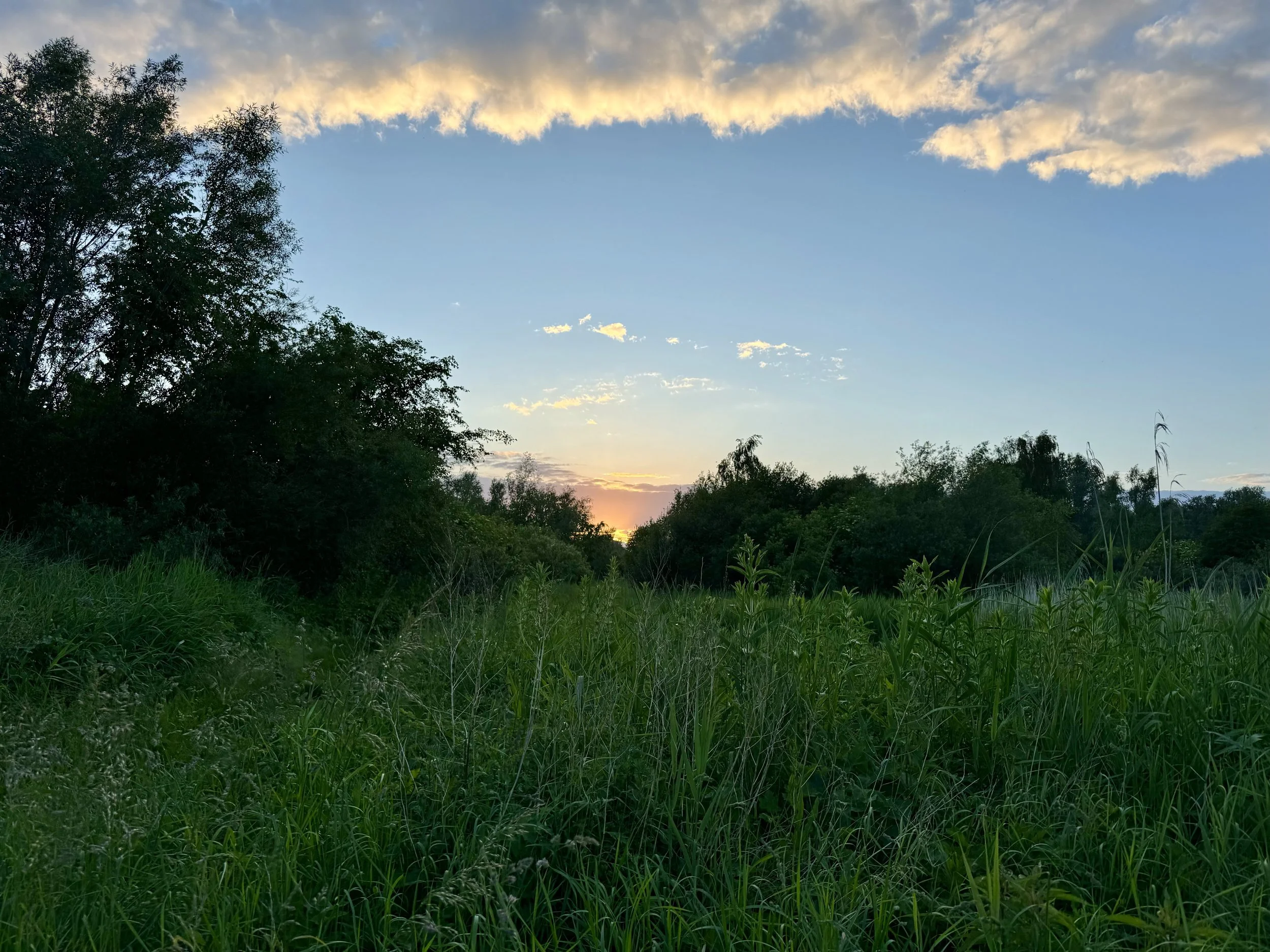 Audio Bretten Sun down