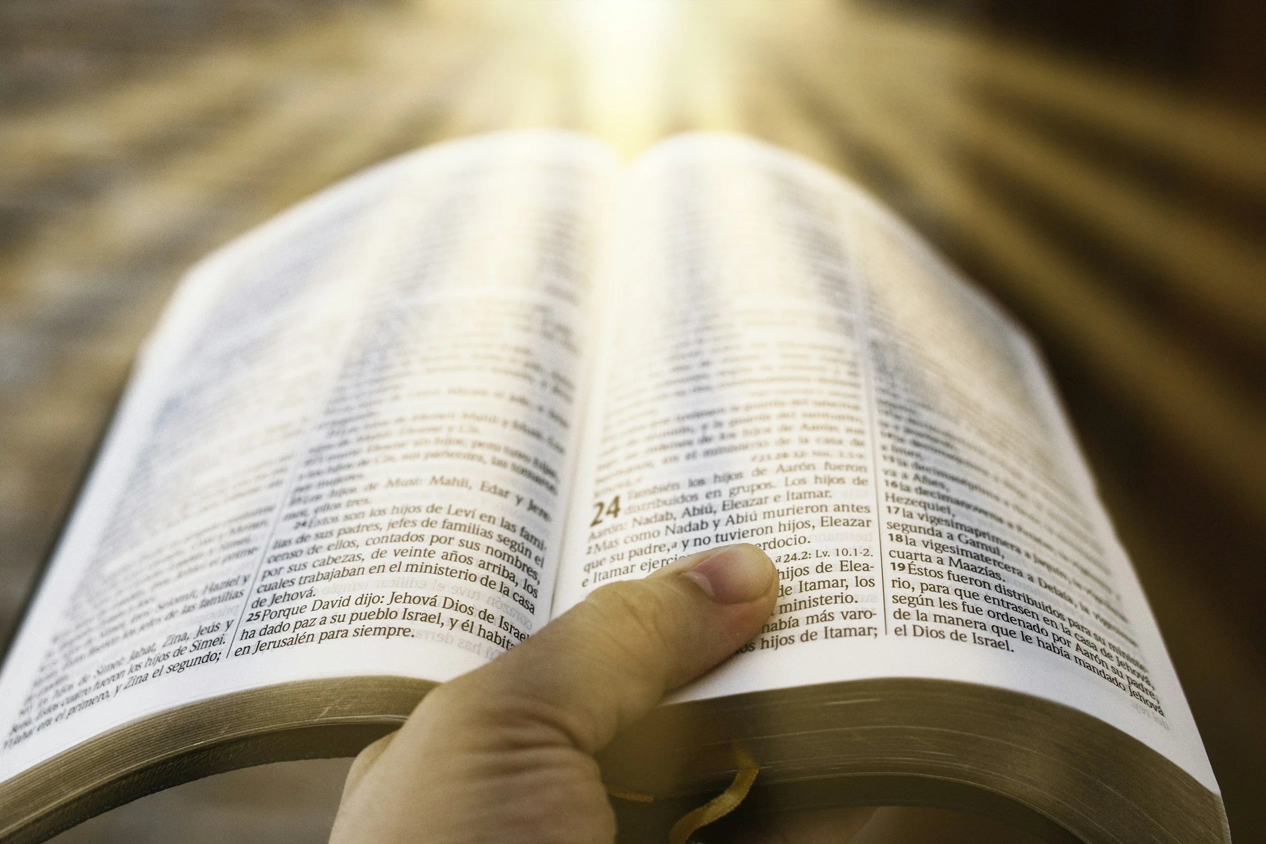 Treasuring the Word