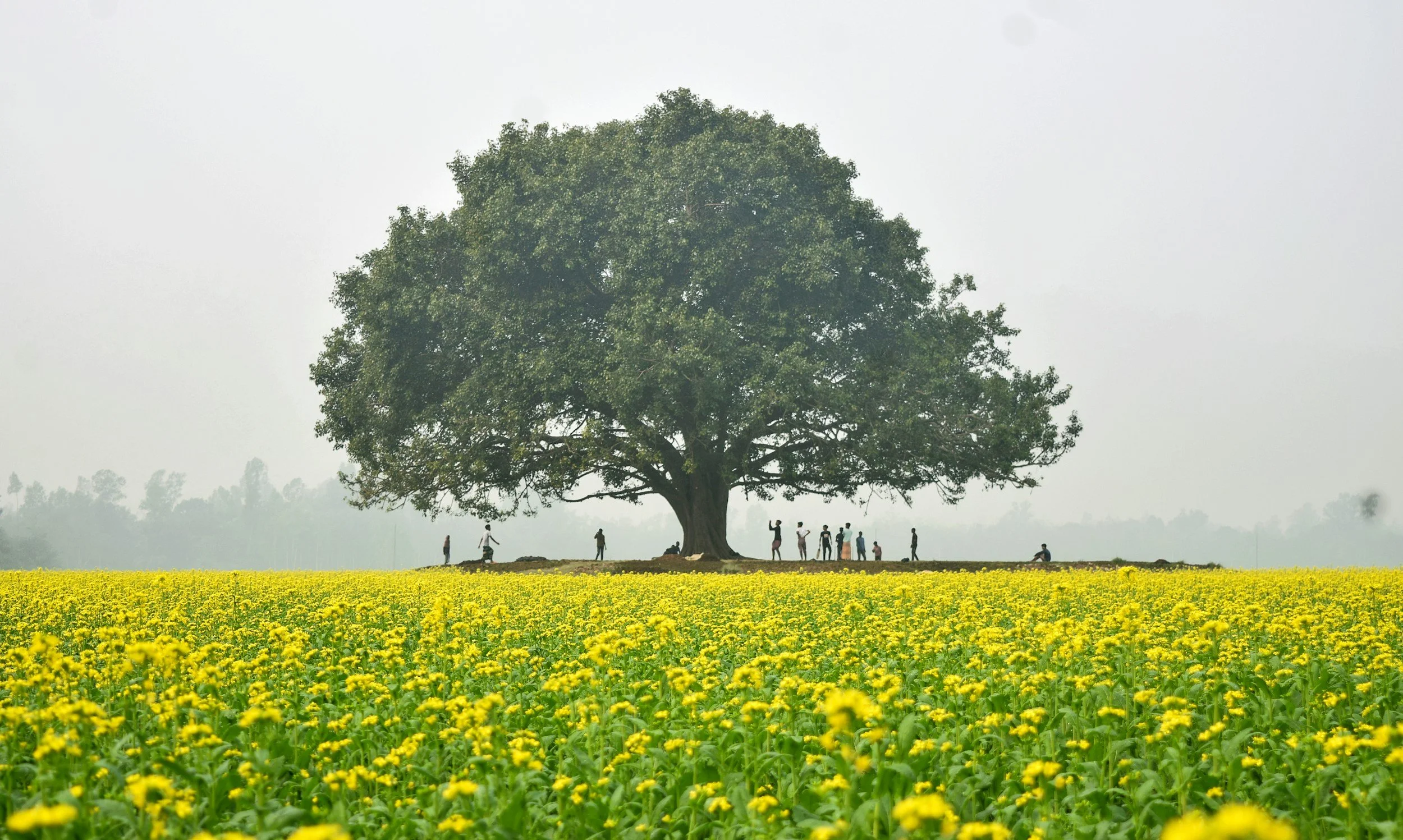 What does the Kingdom of God Signify?