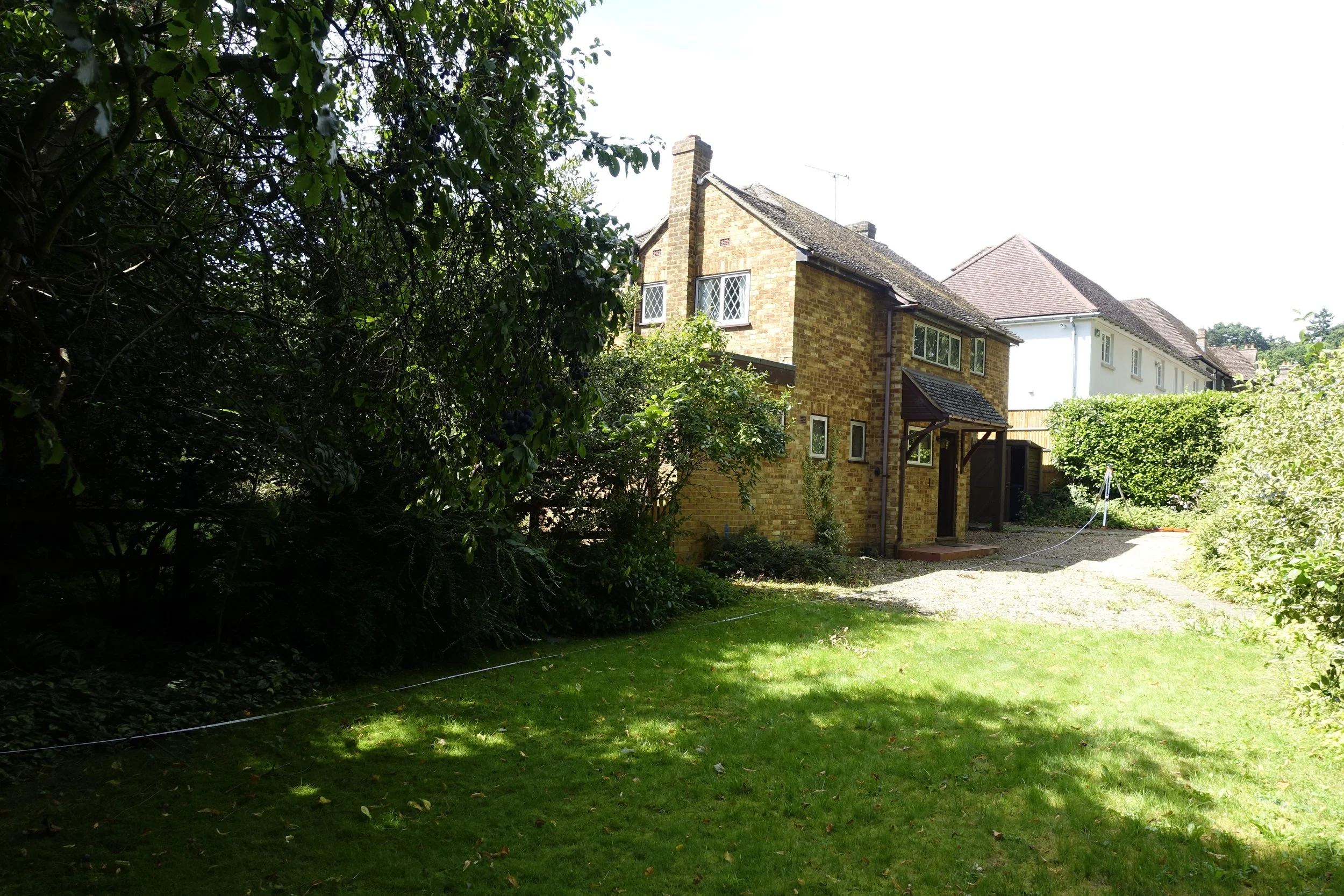 A backyard garden with green grass, bushes, and trees, with a brick house and other houses in the background, under a bright sky.