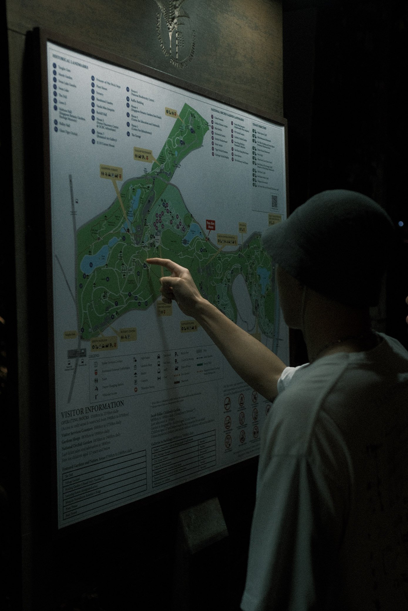 Chapter I: Where it all started.