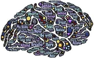 Emotional Regulation for Teens (ages 13-17)