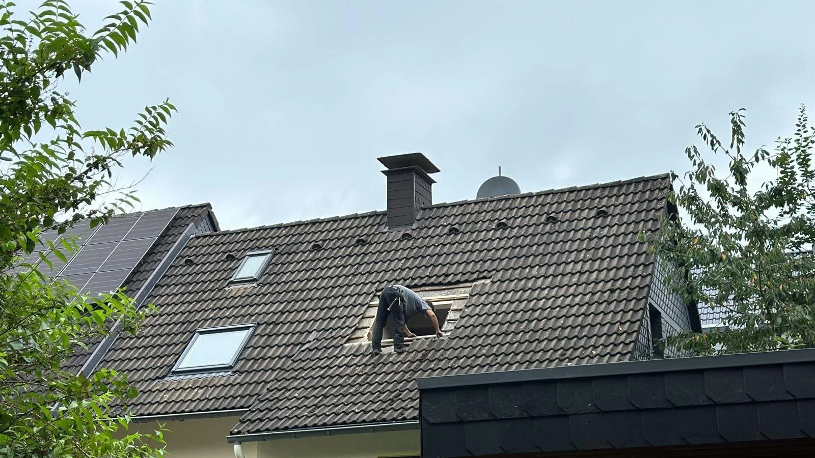 WhatsApp Image 2026-03-03 at 23.29.11 (1).jpeg