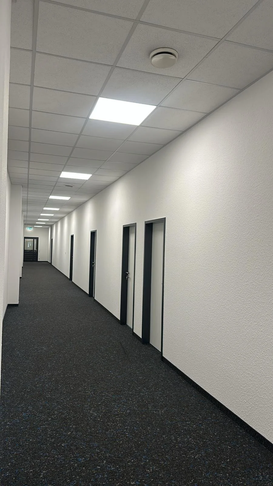 WhatsApp Image 2026-03-04 at 00.29.44 (1).jpeg