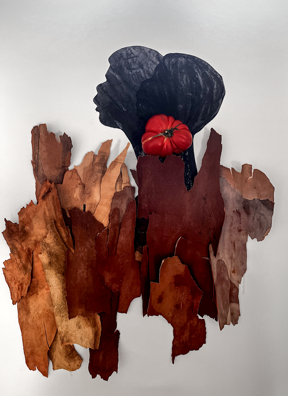 Artwork featuring black silhouettes of two faces looking at each other, made from dark paper or cardboard, with brown bark-like pieces below, and a red tomato positioned as a lip on the lower face.