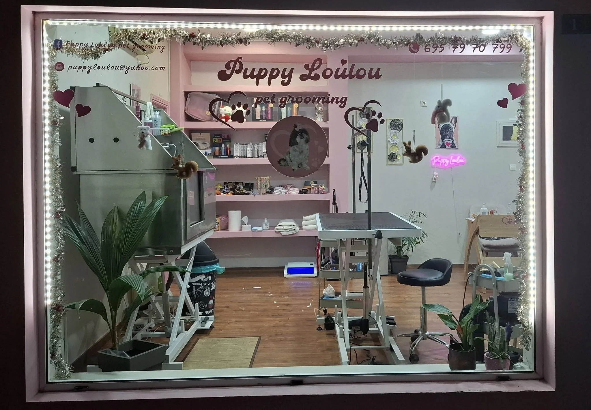 Inside view of a pet grooming salon with grooming table, chair, and shelves, decorated with paw print decorations, plants, and a pink neon sign; the salon has wood flooring and light pink walls.