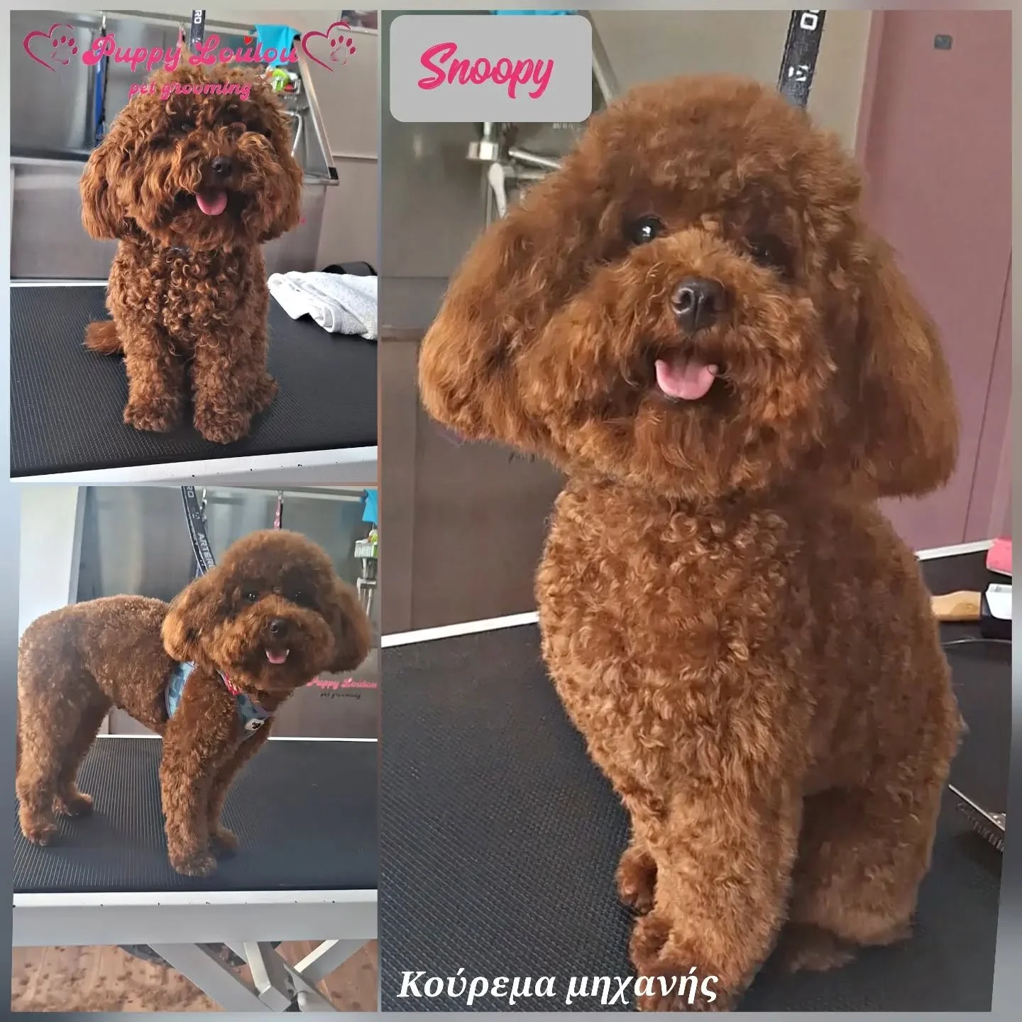 Snoopy (κούρεμα μηχανής)