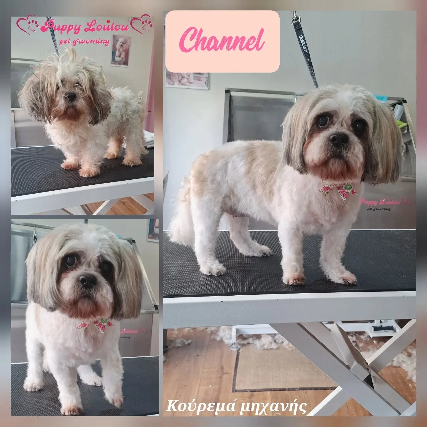 A collage of three photos of a small, fluffy dog with a light-colored coat and dark eyes, on a grooming table at a pet grooming salon. The images have text overlay that reads 'Puppy LouLou pet grooming' and 'Channel,' with additional Greek text at the bottom.